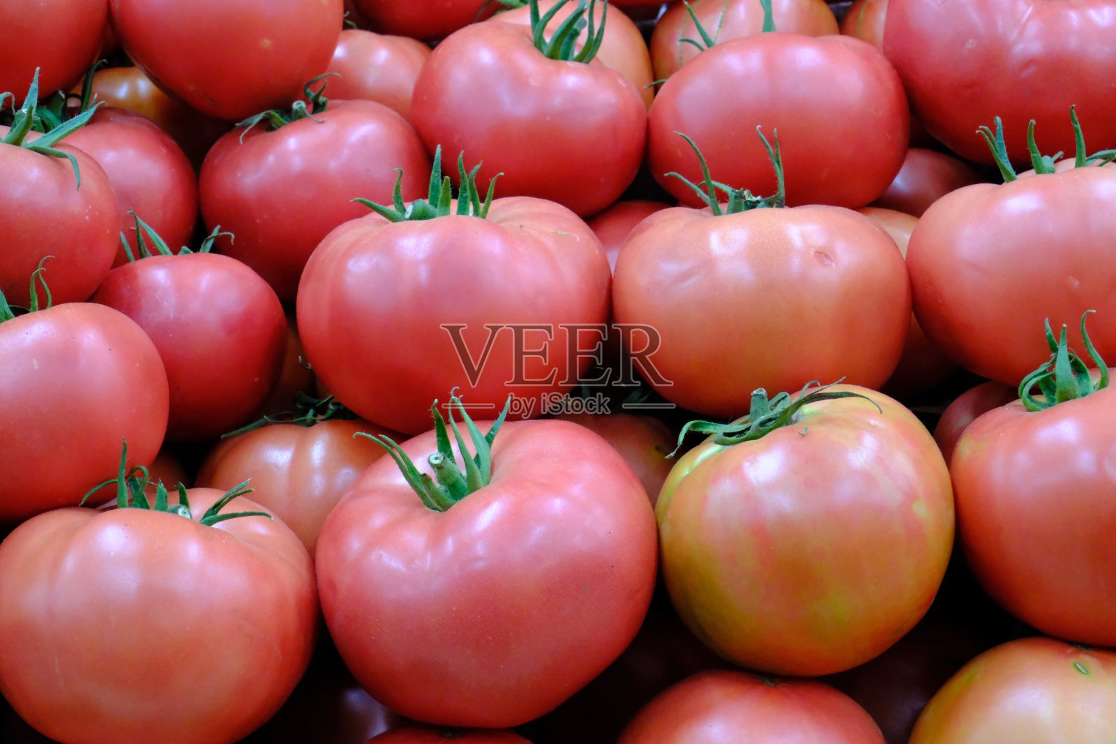 市场上出售的红色和粉红色的新鲜西红柿照片摄影图片