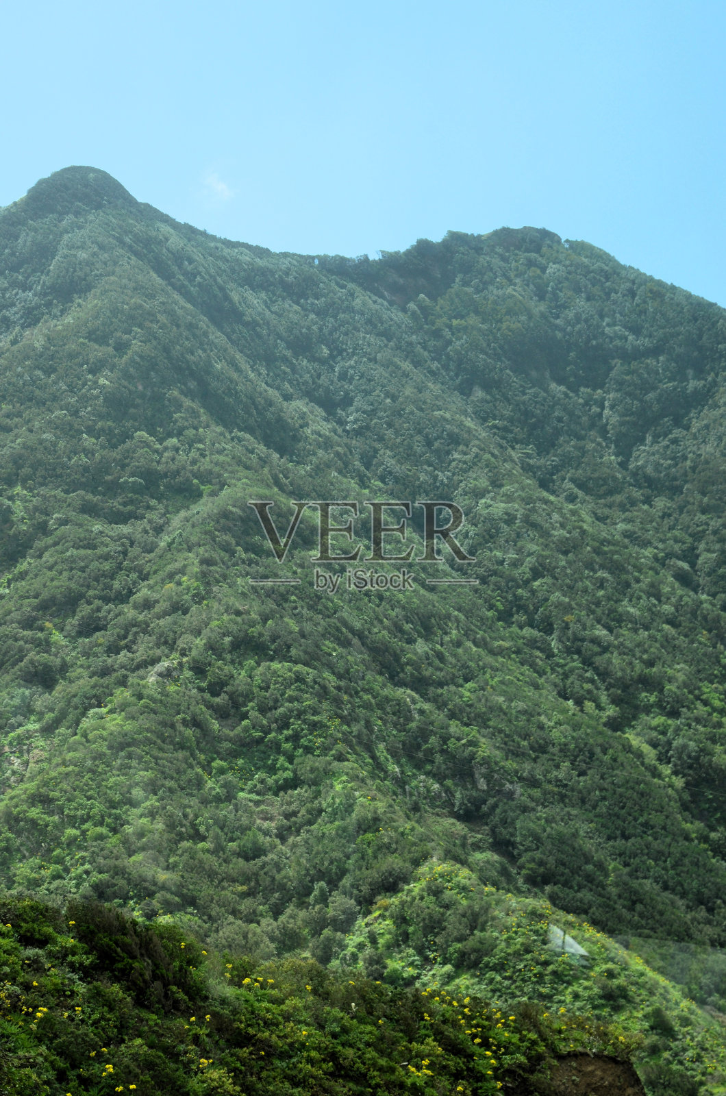 加那利群岛特内里费岛阿纳加乡村公园的热带山脉照片摄影图片