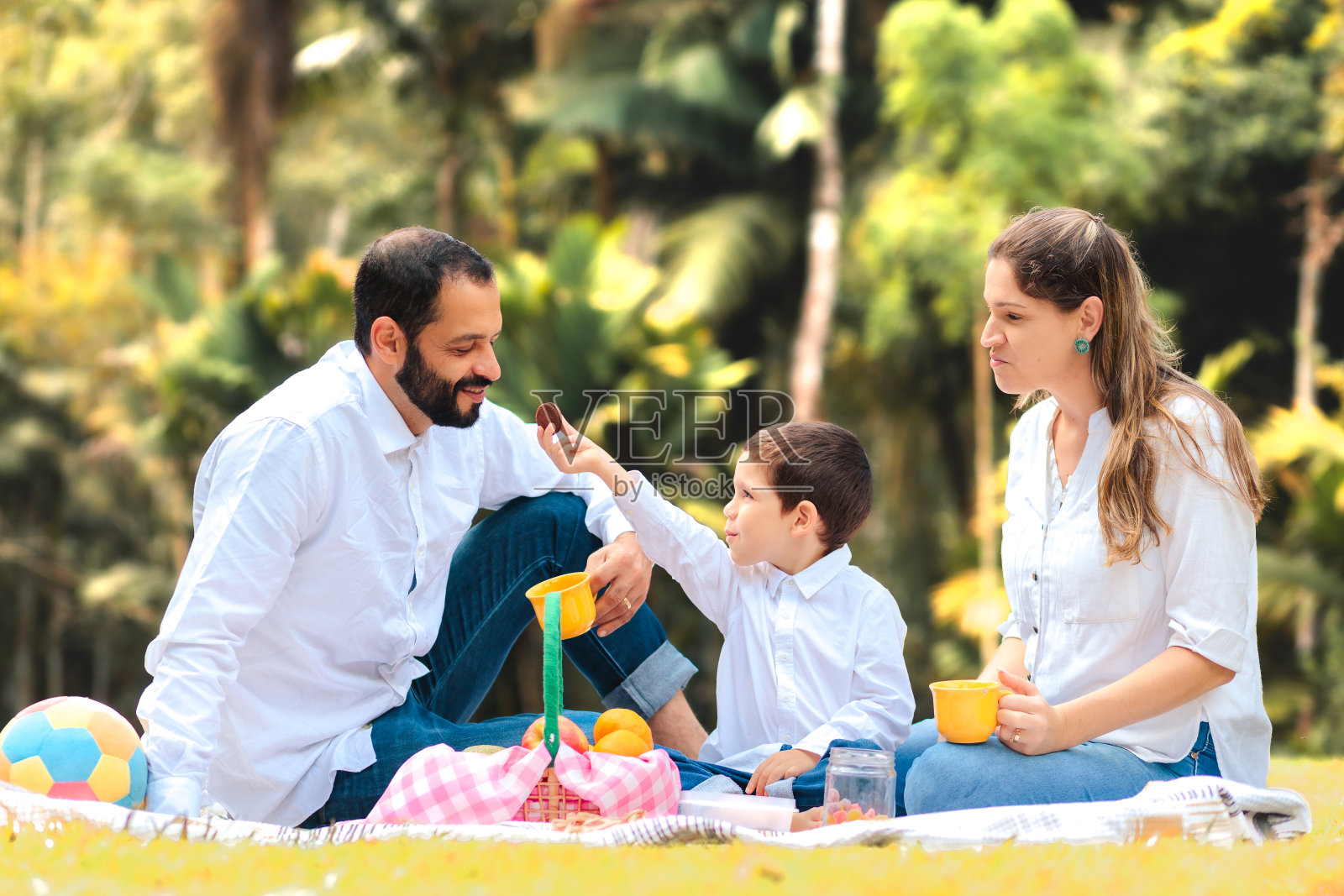父亲节野餐:甜蜜的家庭时刻照片摄影图片