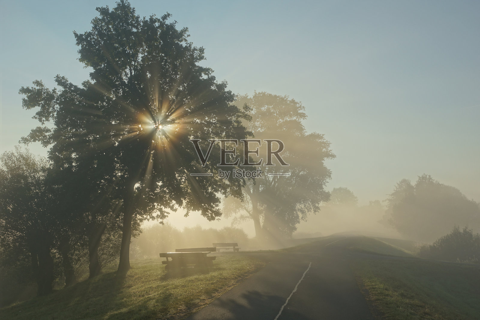 在雾天里，空旷的道路被树木挡住照片摄影图片