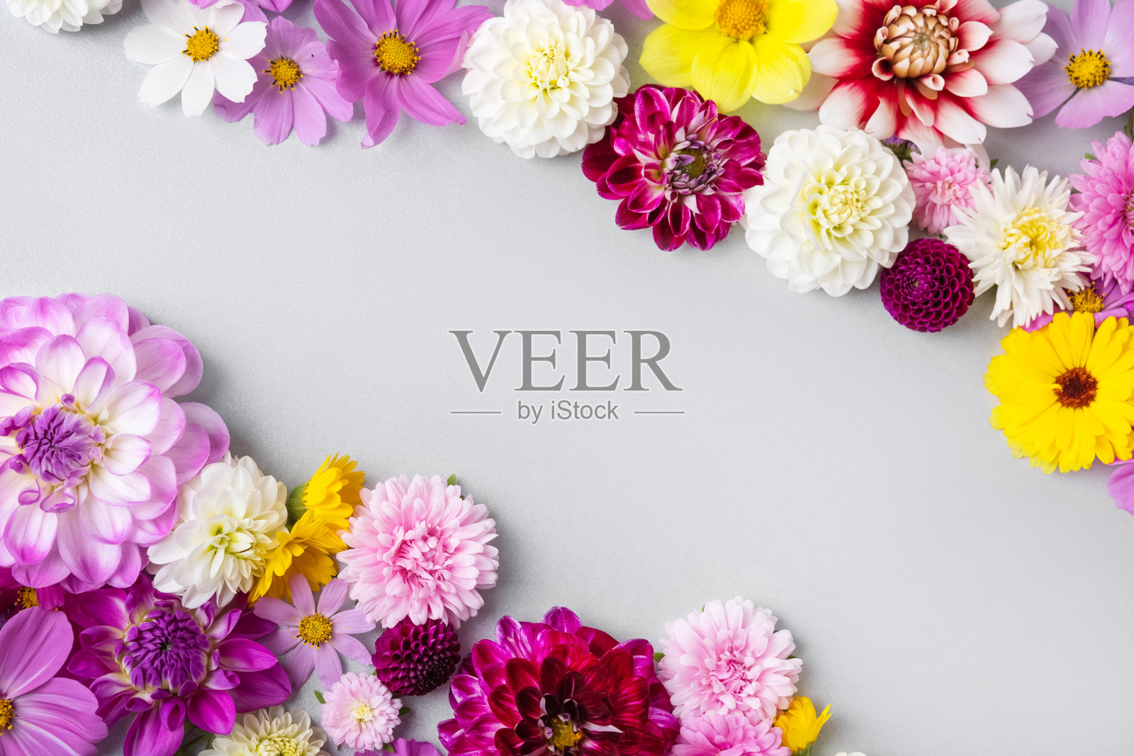 鲜花的背景照片摄影图片