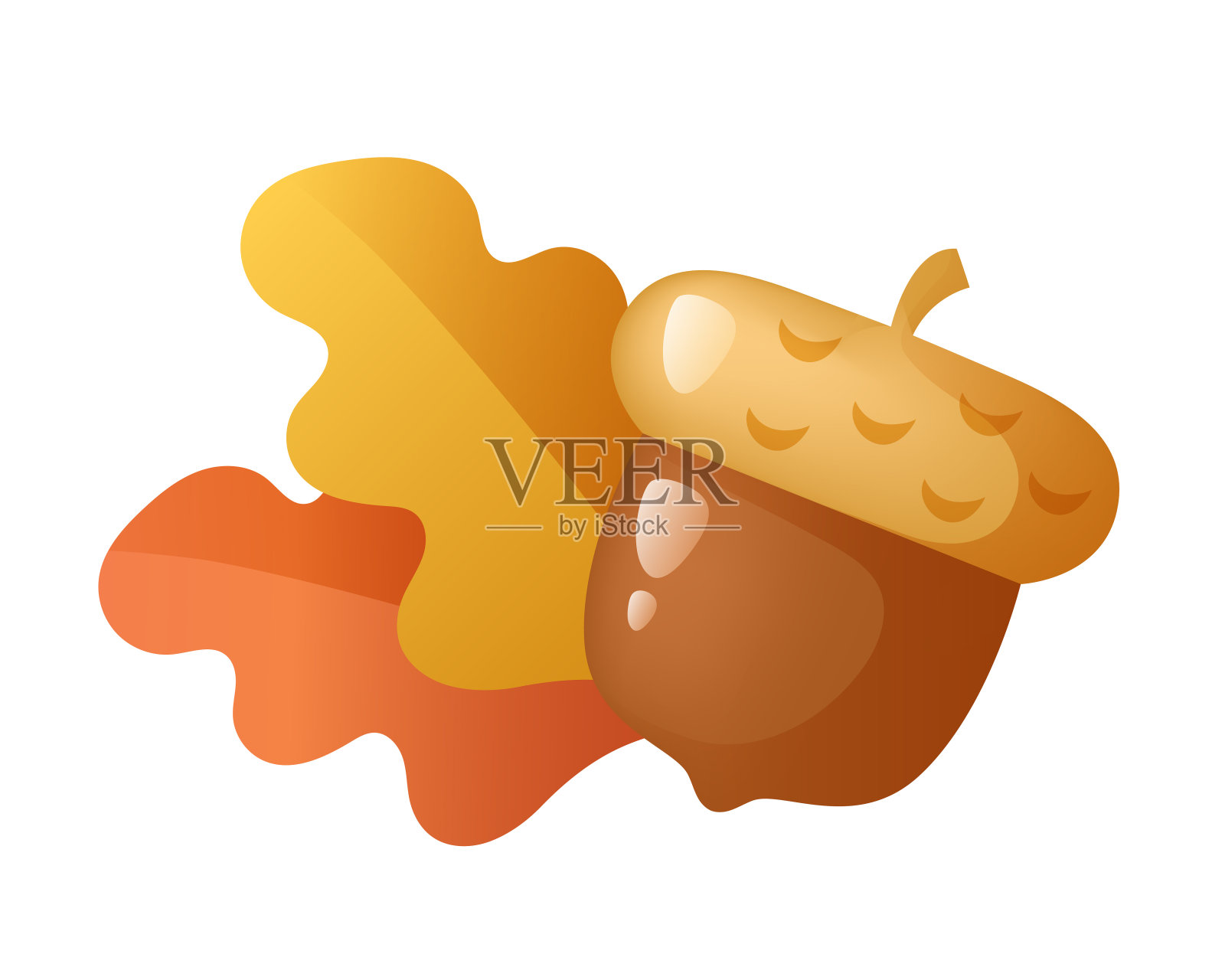 橡子和橡树叶。矢量3d剪贴画隔离在白色背景。插画图片素材