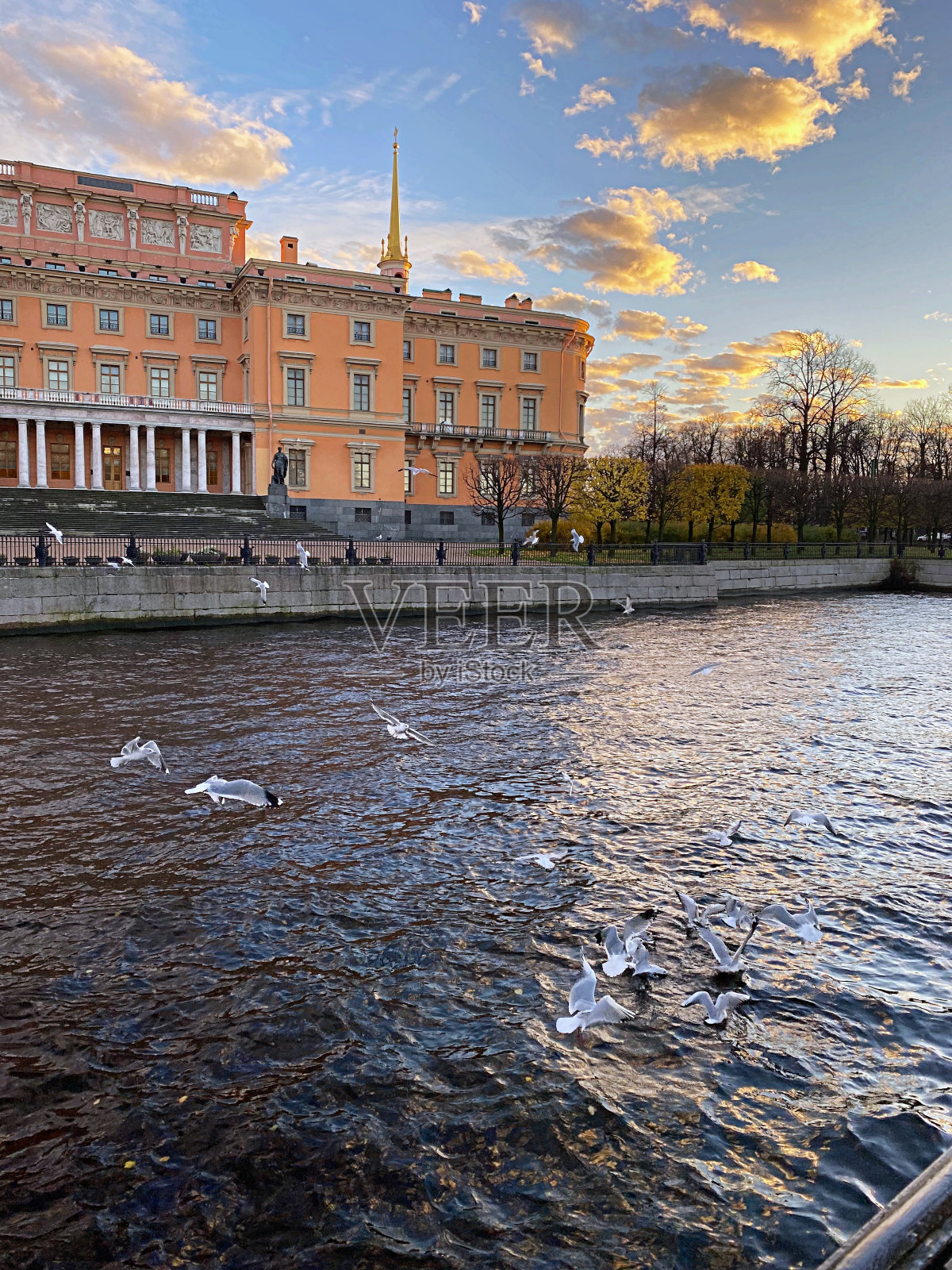 河边的美丽夜晚，海鸥在历史建筑附近飞翔照片摄影图片