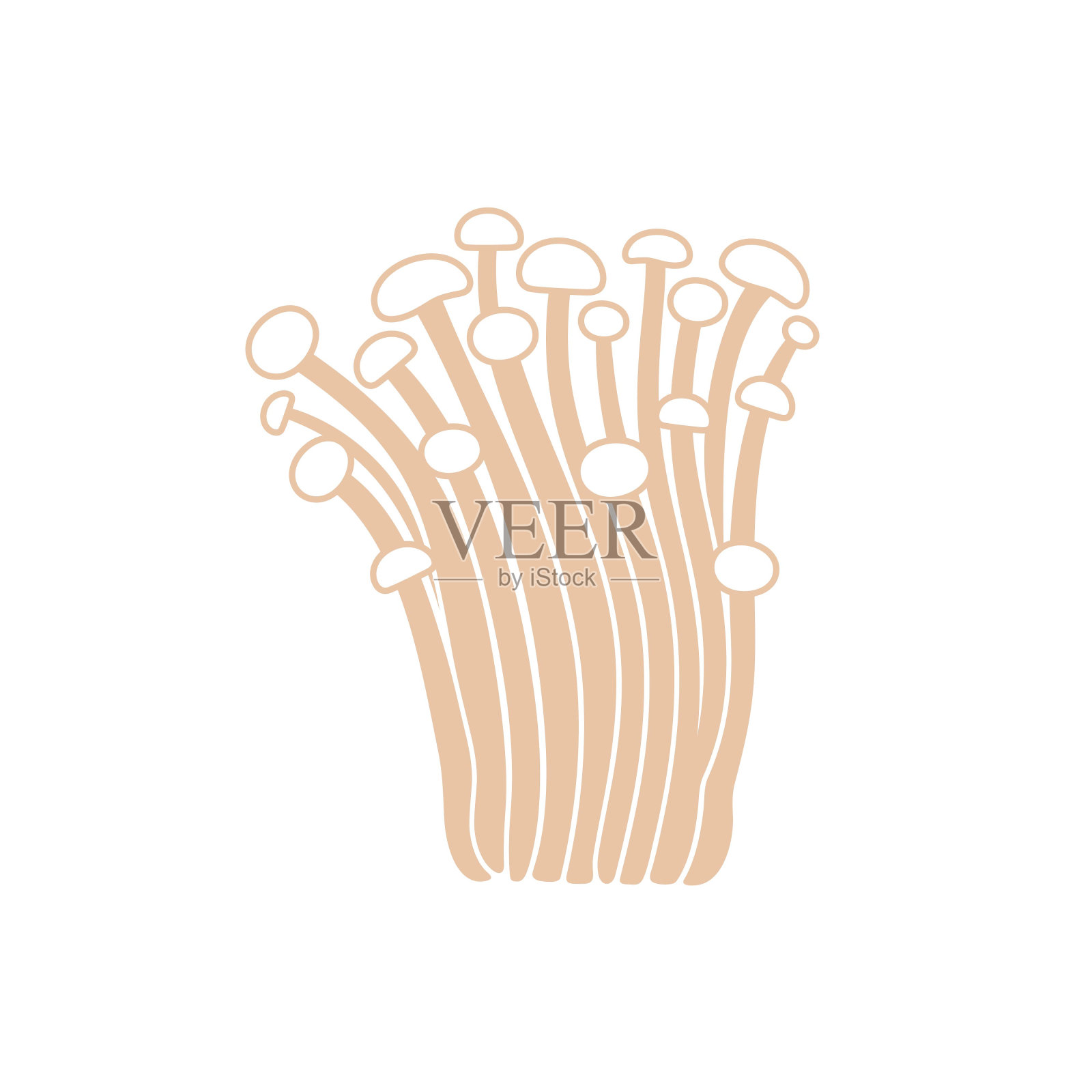 日本的金针菇。孤立的日本白底木插画图片素材