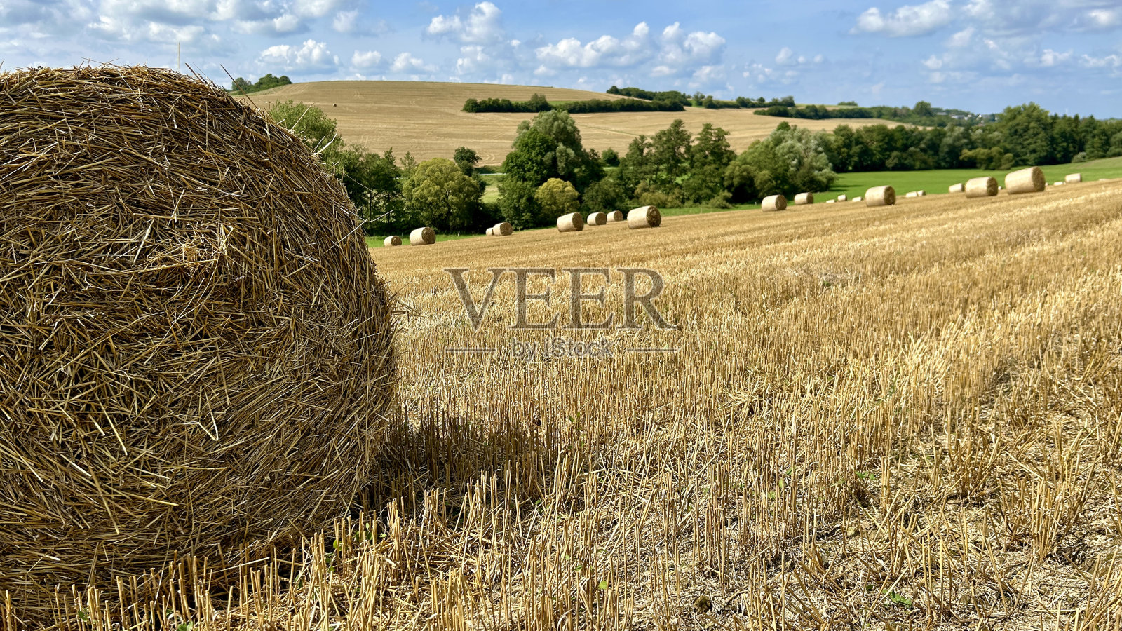 稻草捆堆放在田野上照片摄影图片