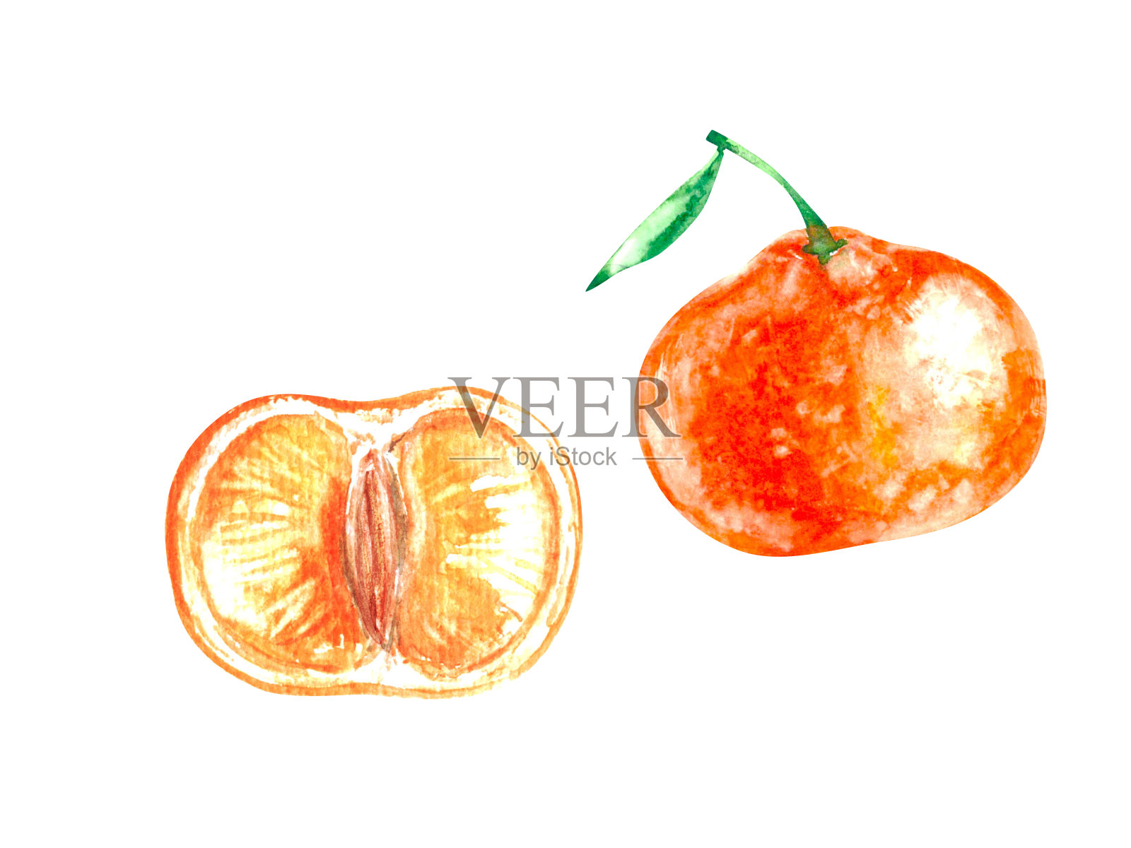 手绘水彩橘子整体和半切插图。热带奇异的水果为食品和饮料的背景插画图片素材