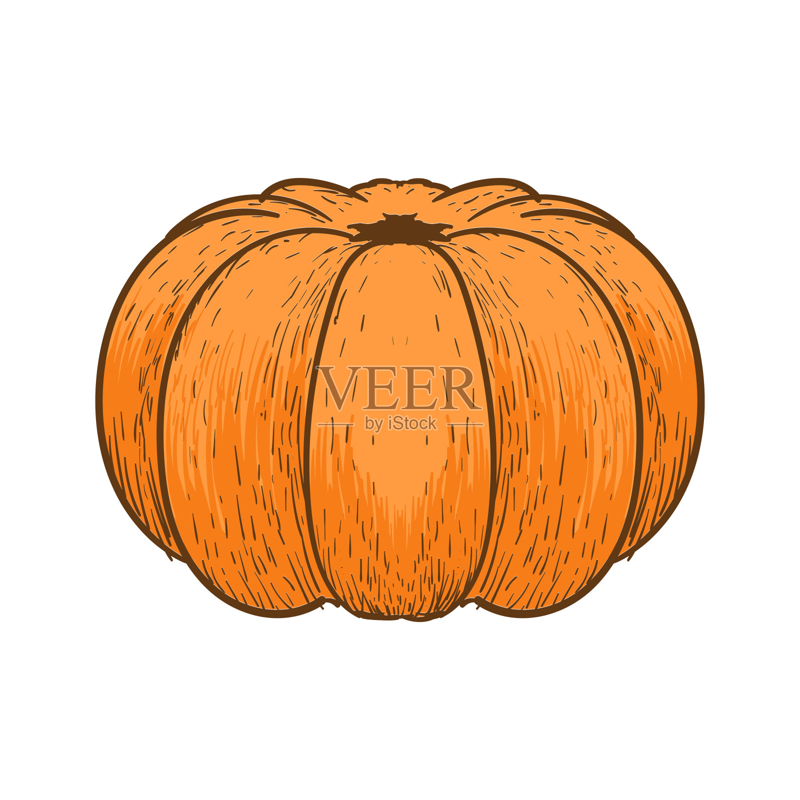 复古复古手绘南瓜水果农场花园产品标签插图设计插画图片素材