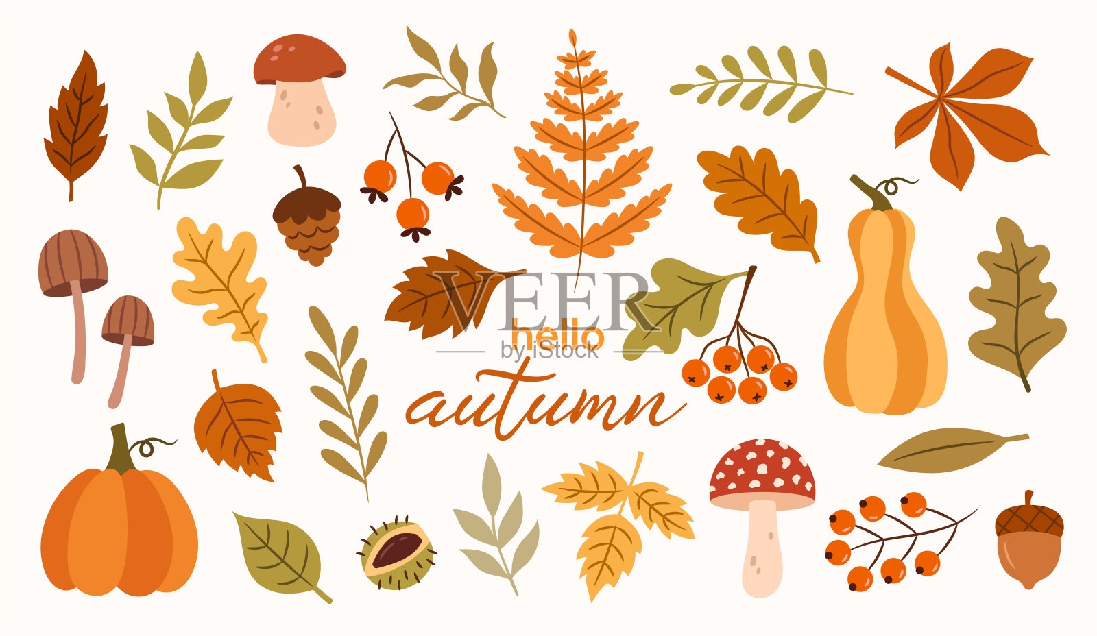 秋季矢量植物集的叶子，蘑菇，植物，树枝，浆果插画图片素材