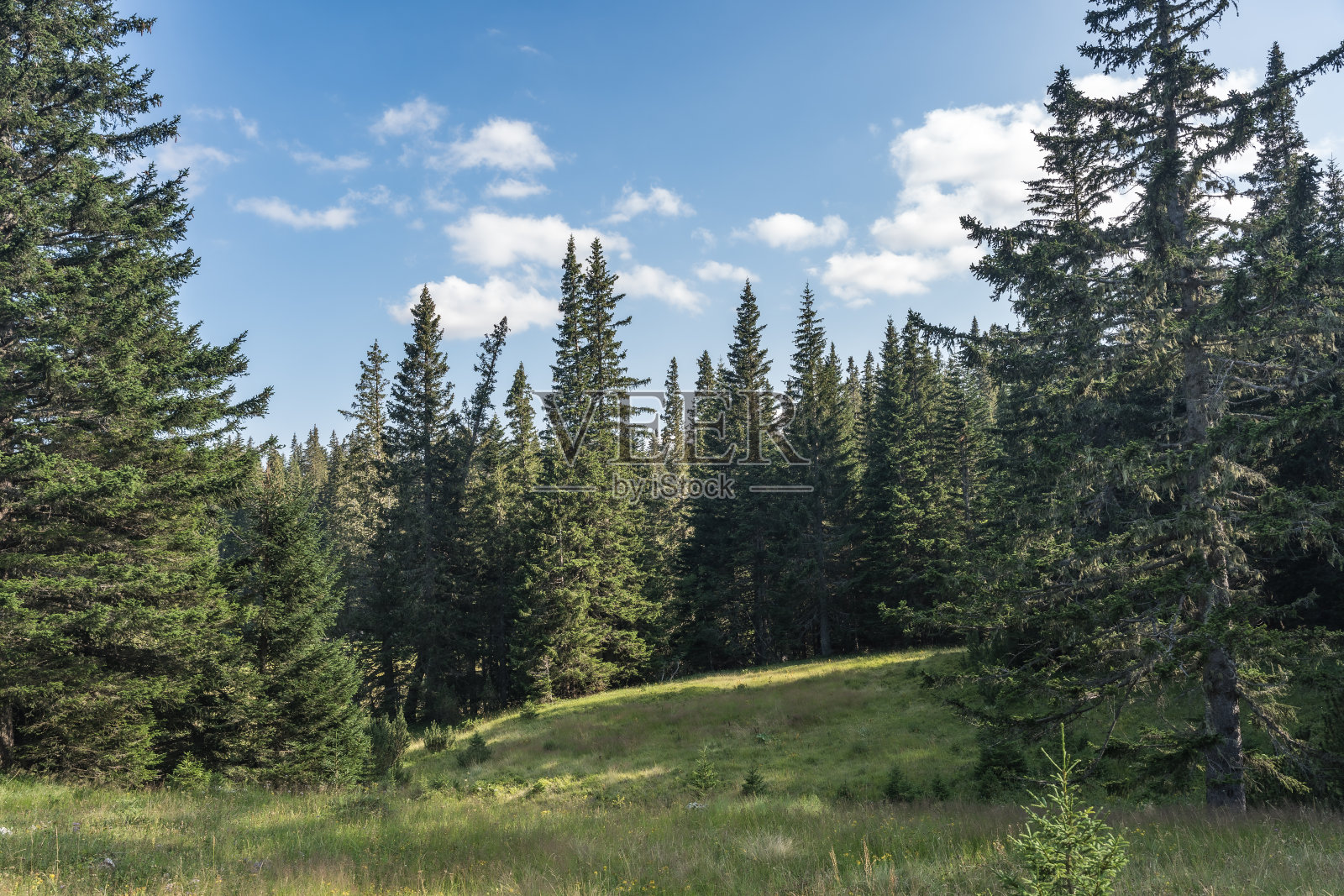 杜密特国家公园雄伟的夏日。扎布利亚克村，黑山，巴尔干半岛，欧洲。热门旅游目的地景区形象。发现地球的美丽。远足自然目的地照片摄影图片