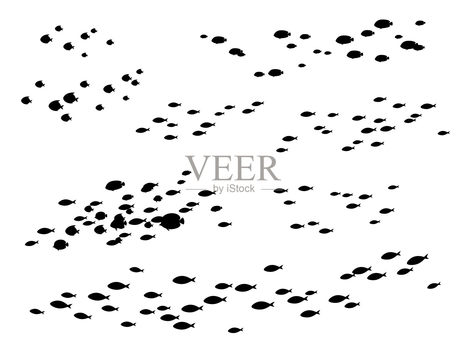 鱼的影子插画图片素材