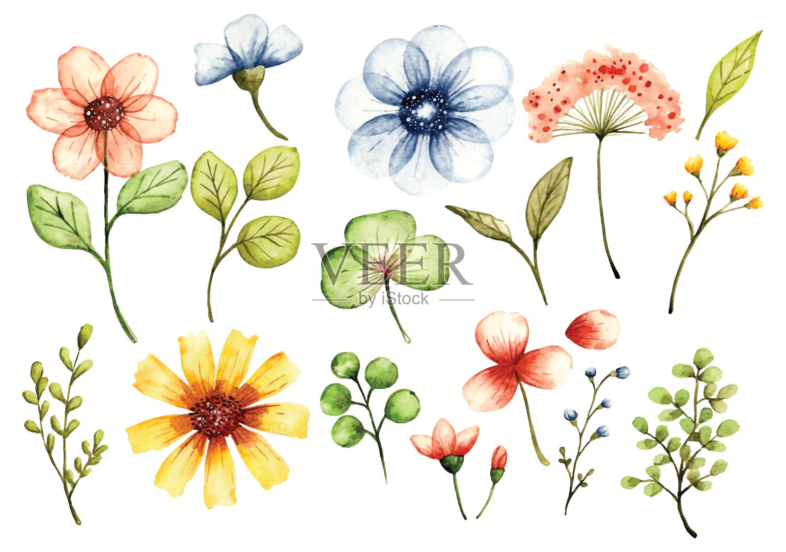 美学花卉涂鸦设计元素-水彩矢量插图插画图片素材