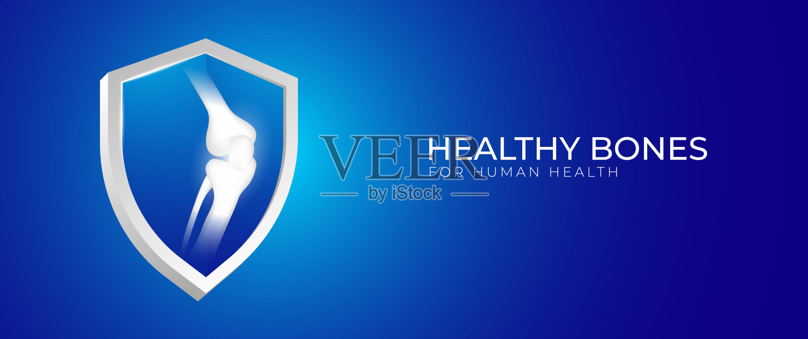 人体健康骨骼设计，适用于医学、临床、骨科医院插画图片素材