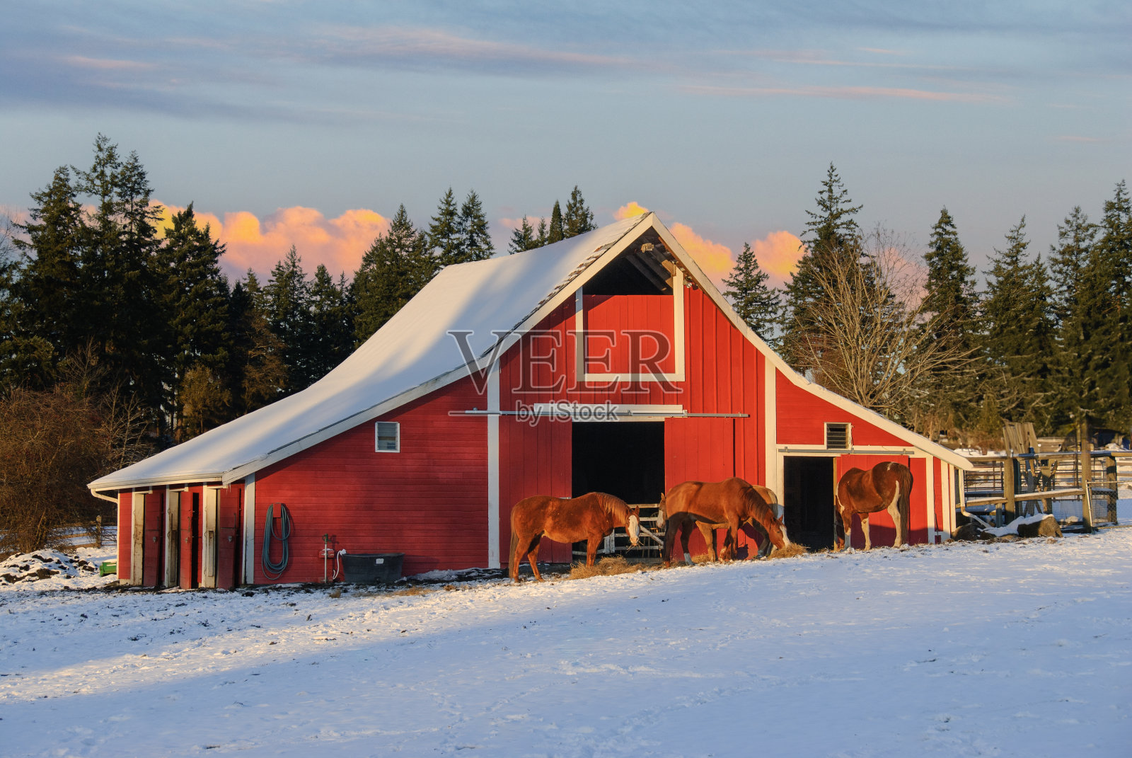 雪中的红色谷仓照片摄影图片