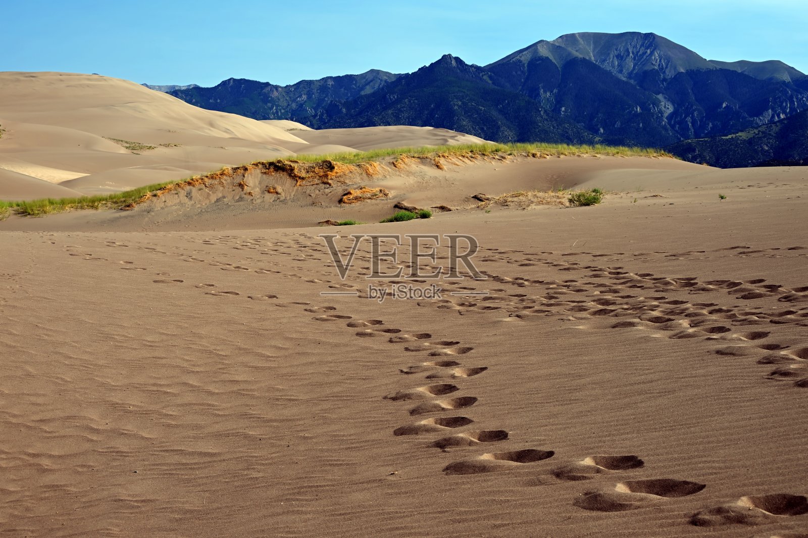 巨大沙丘上的脚印照片摄影图片