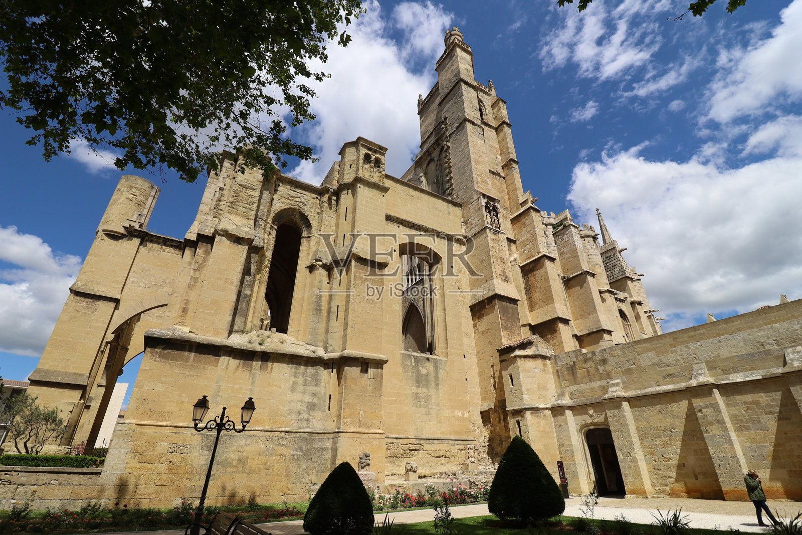 纳博内-哥特式大教堂照片摄影图片