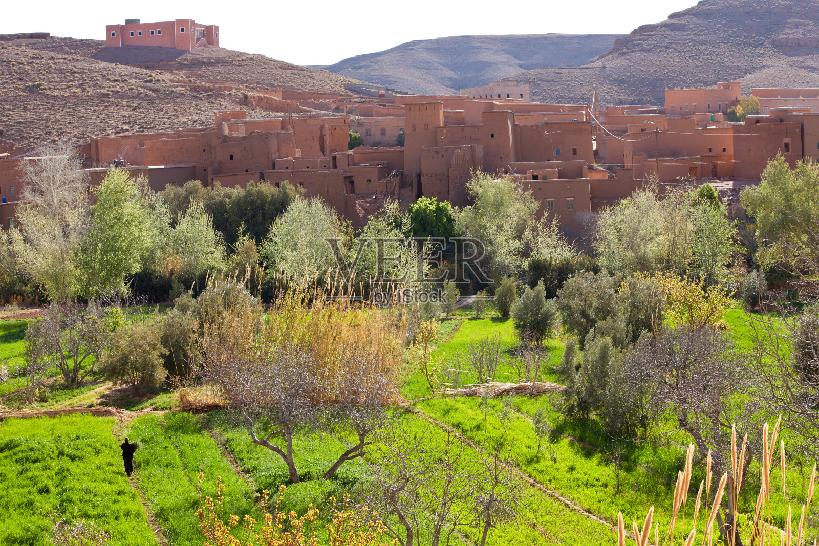 Ksar或设防的村庄，Dades山谷，Dades峡谷，Ouarzazate地区，摩洛哥照片摄影图片