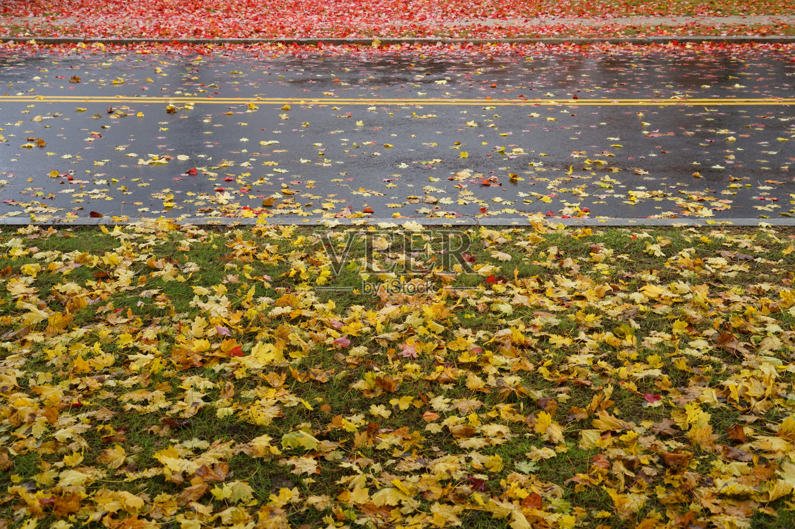 秋天落在路上的黄叶和红叶照片摄影图片
