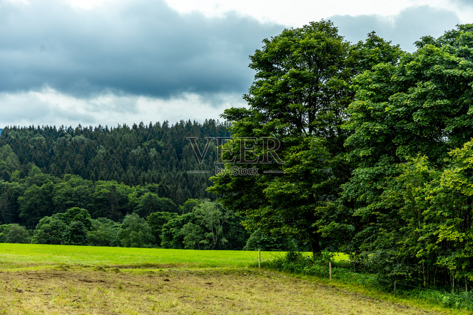 在图林根森林的边缘走一小段路就到了哈伦堡城堡照片摄影图片