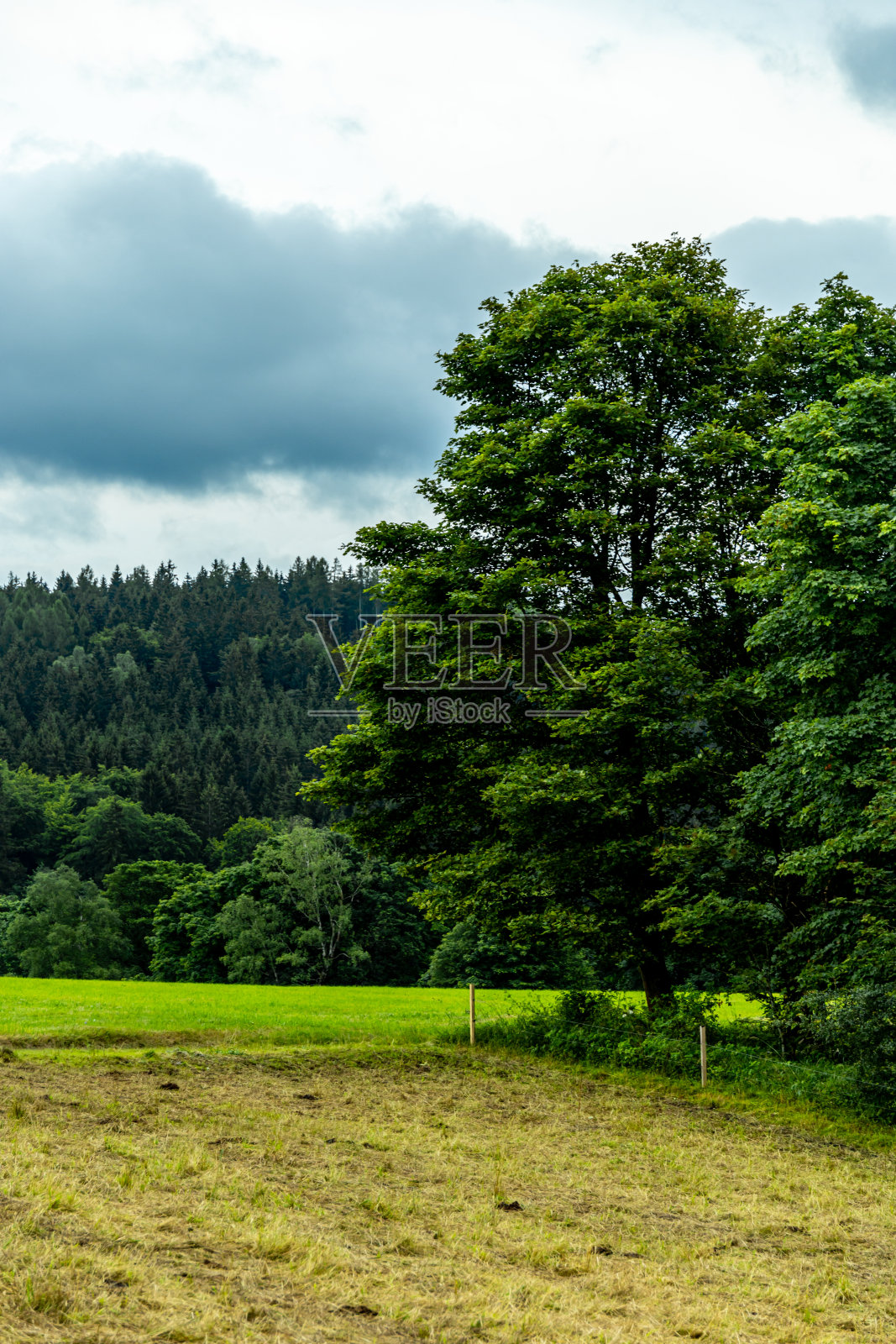 在图林根森林的边缘走一小段路就到了哈伦堡城堡照片摄影图片