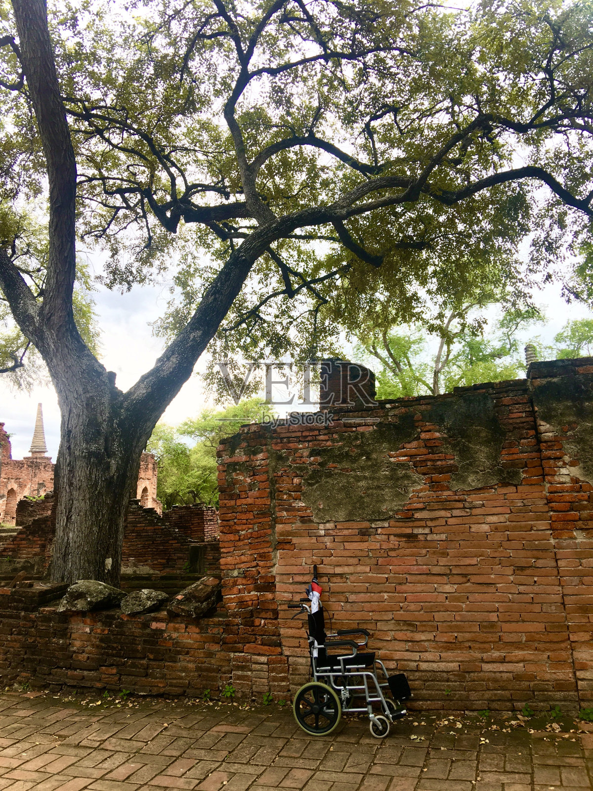 车照片摄影图片