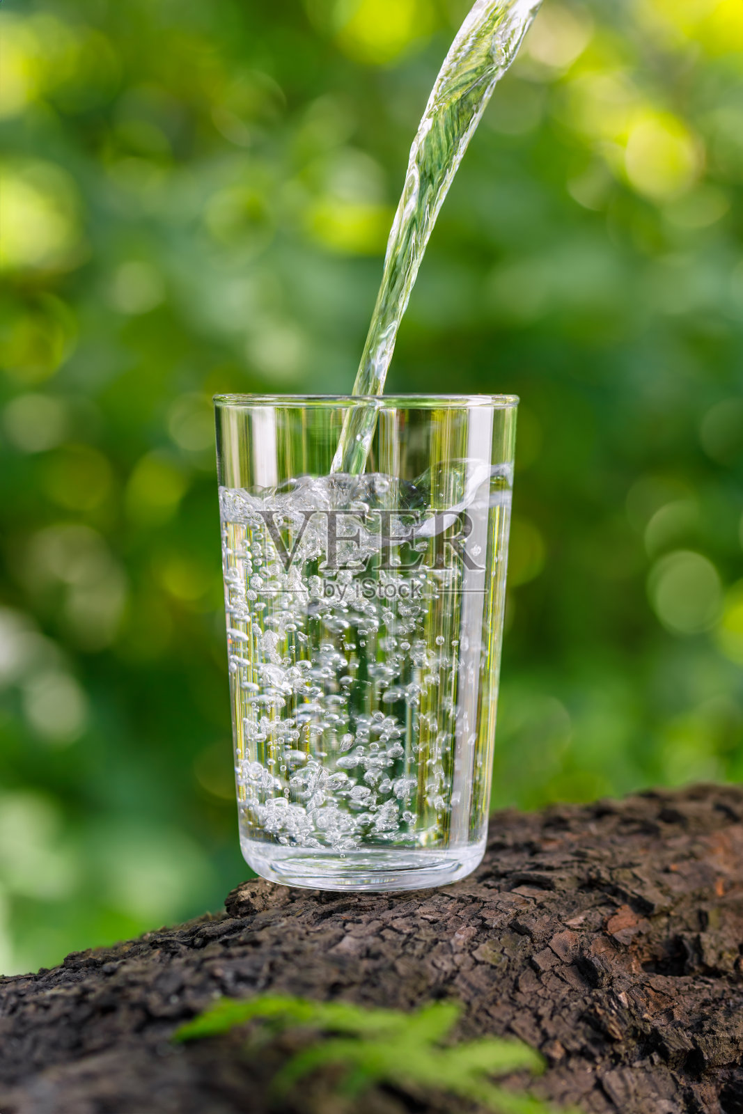 水倒进装有蕨类叶子的木头玻璃杯里照片摄影图片