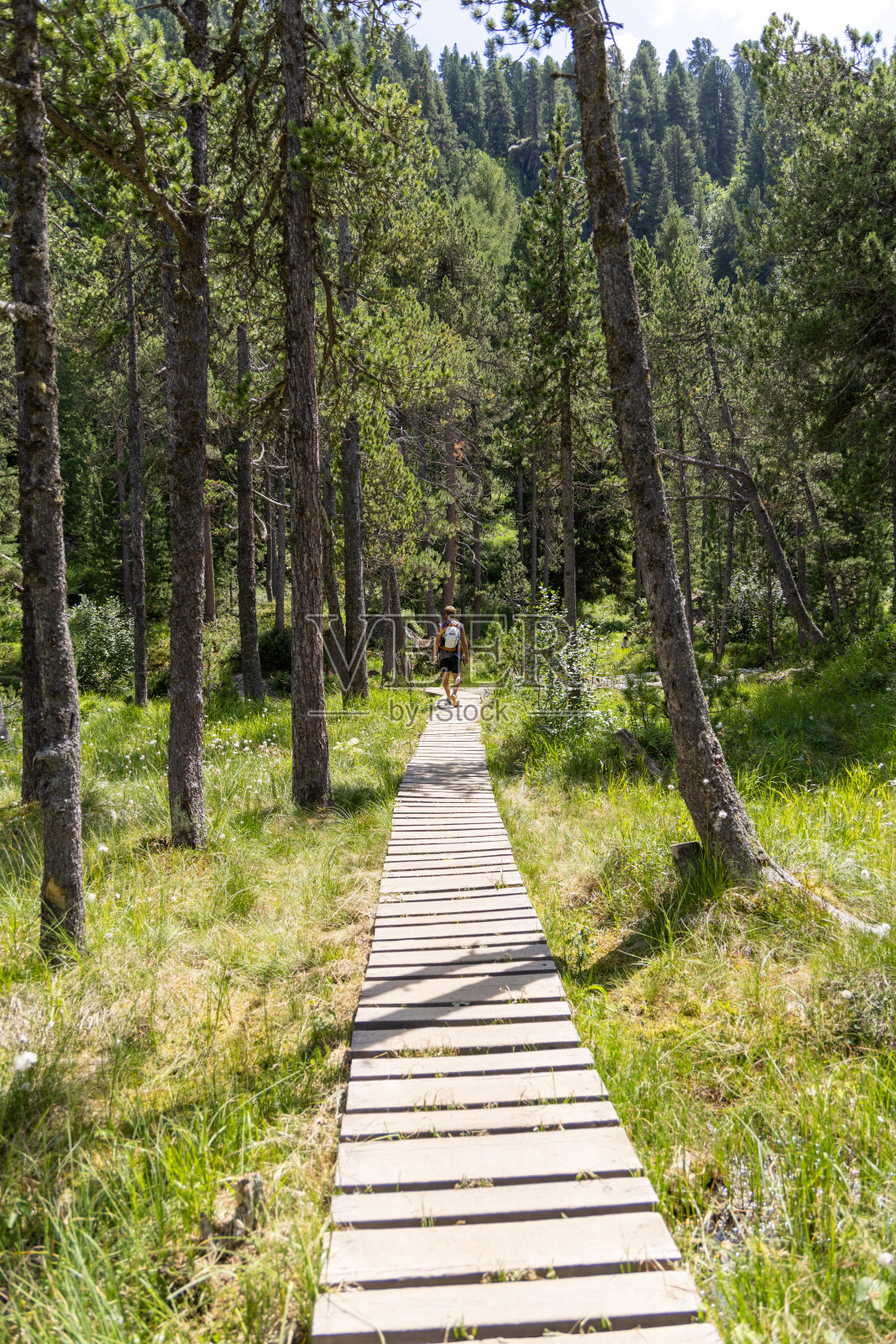 一个人在森林里的木小道上徒步旅行照片摄影图片