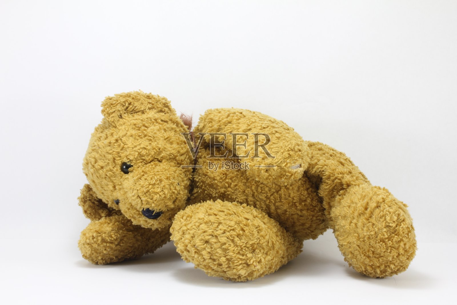 白色背景下的毛绒玩具特写照片摄影图片