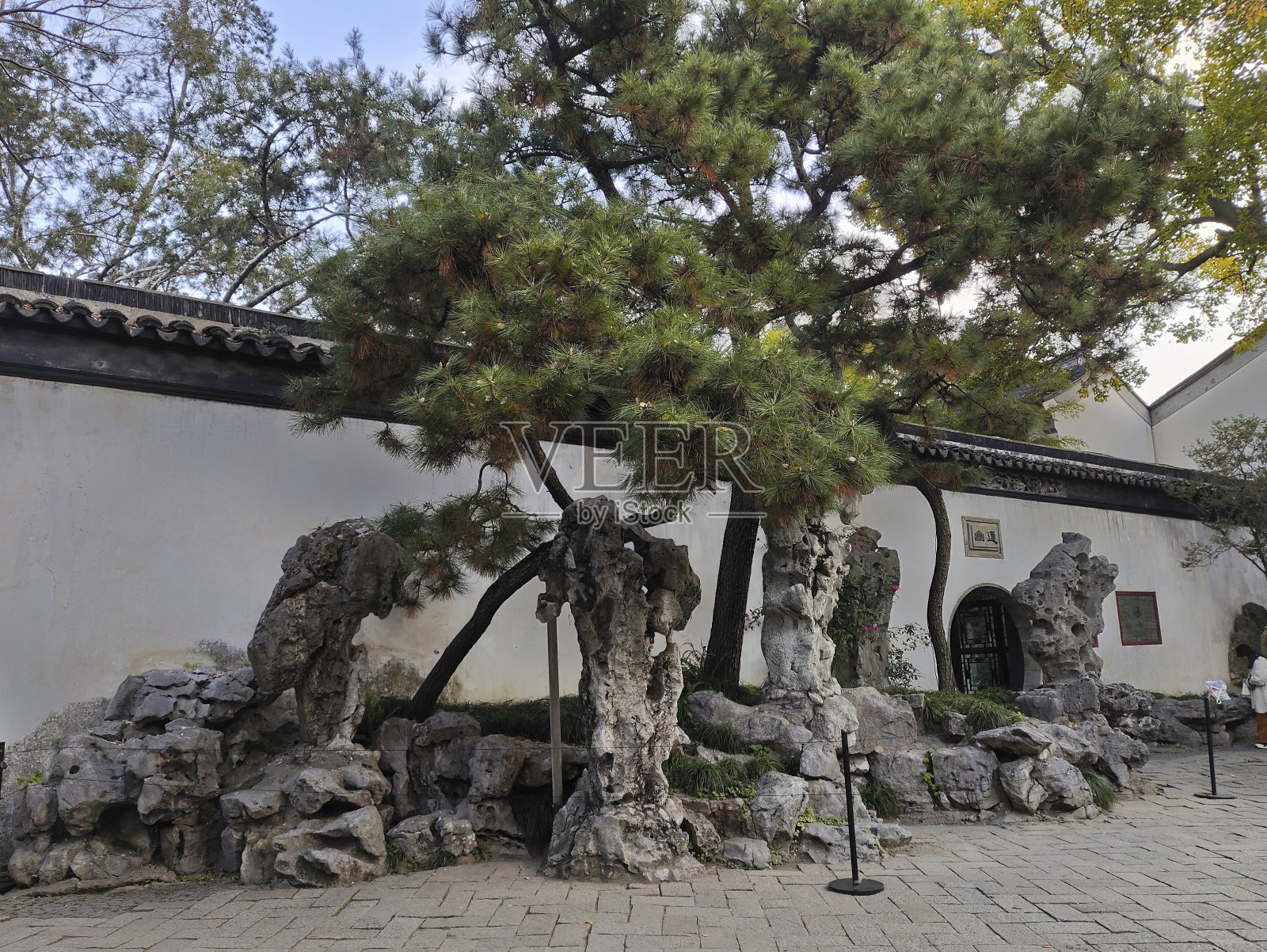 中国苏州拙政园里美丽的花园照片摄影图片