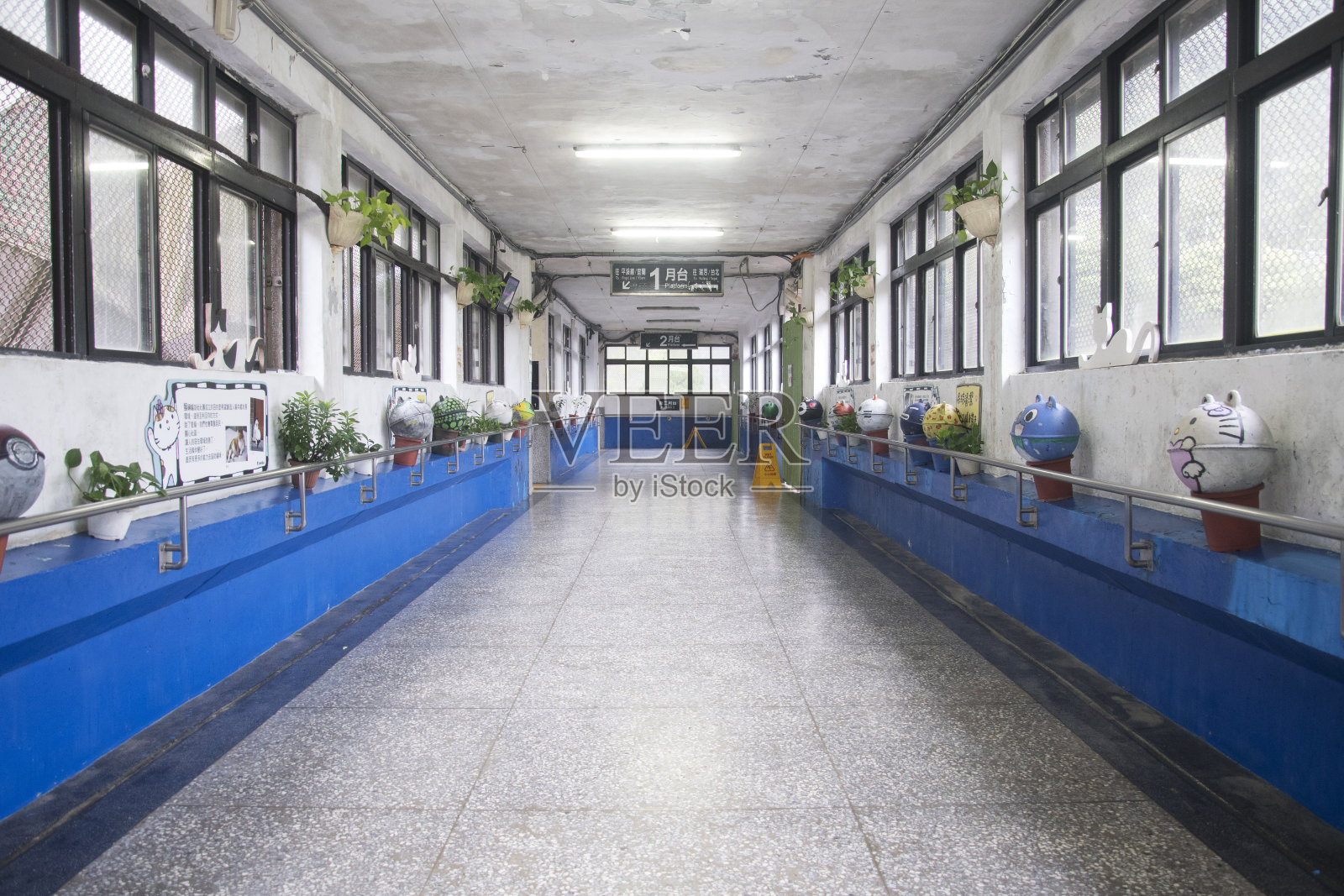 后洞猫村后洞站内部照片摄影图片