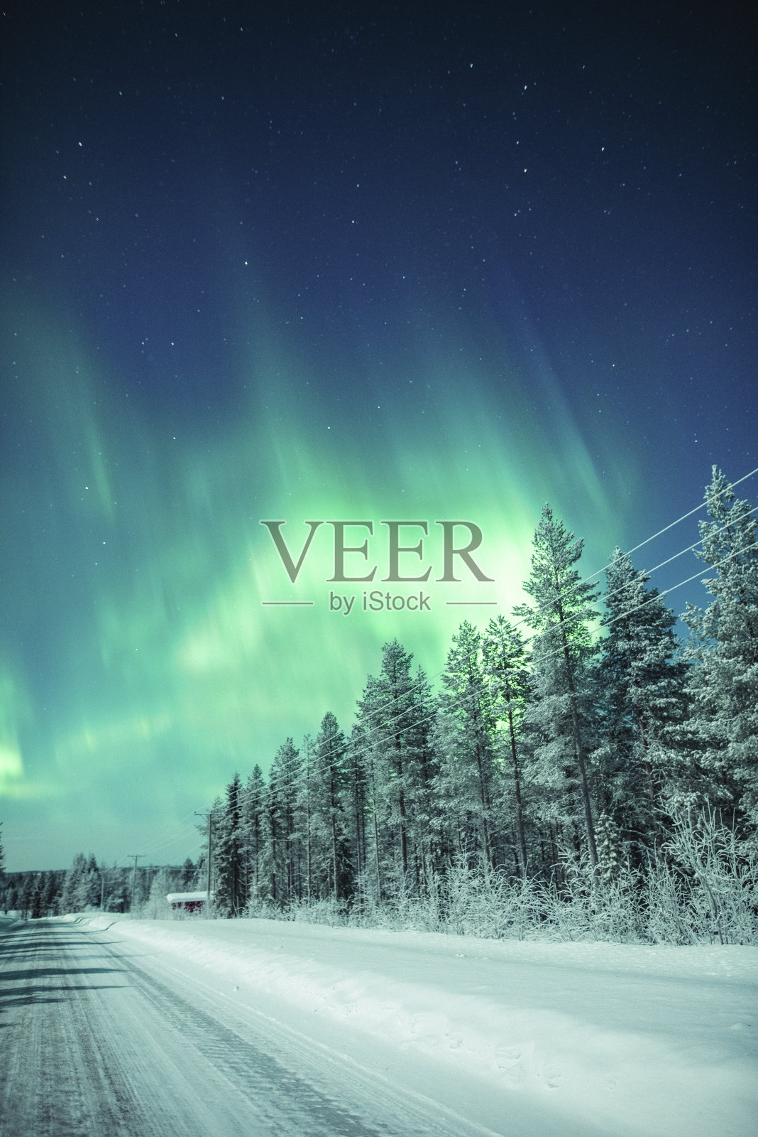 冬天夜晚，树木间的道路对着天空照片摄影图片