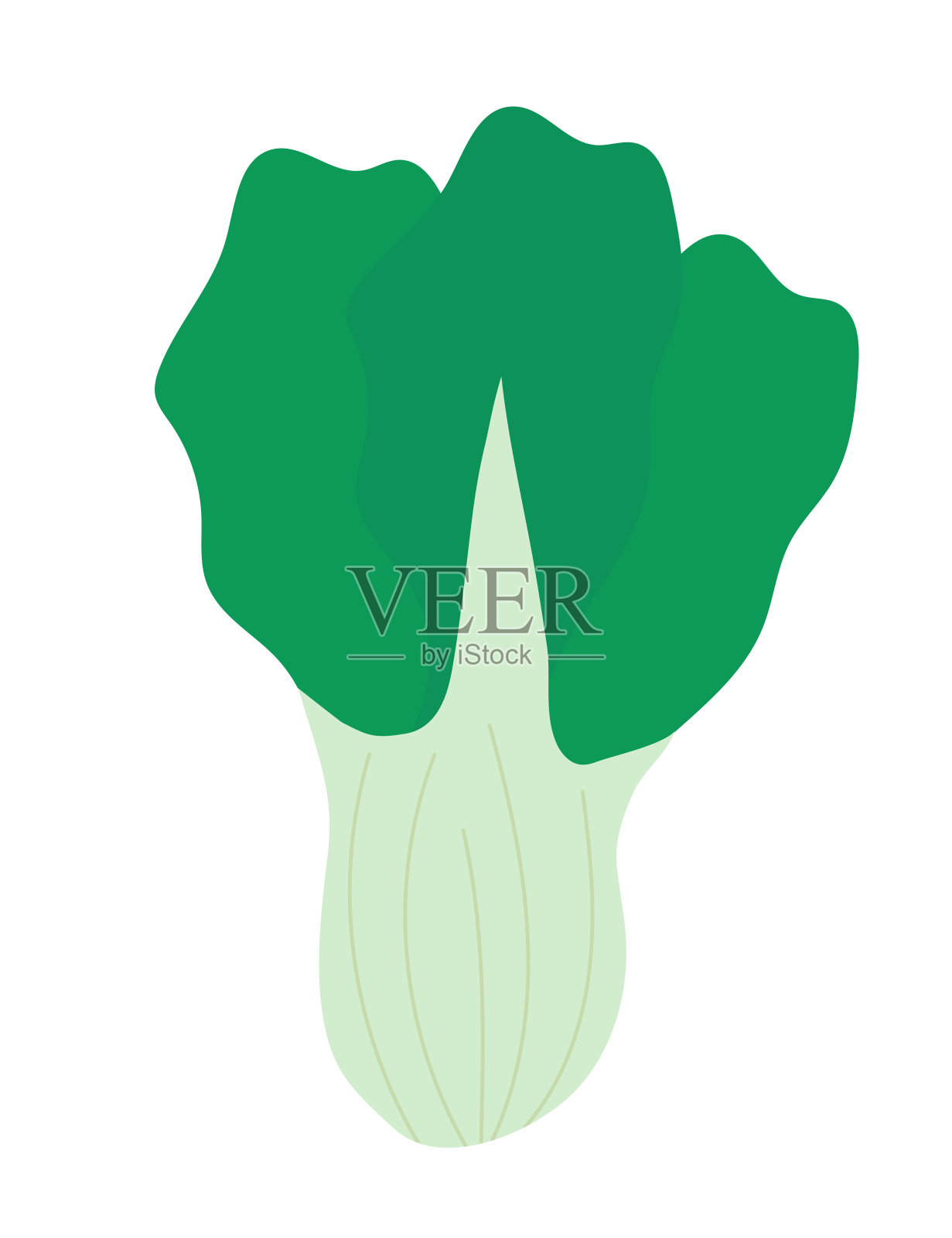 生菜沙拉原料。夏天的食物。矢量平面插图。插画图片素材