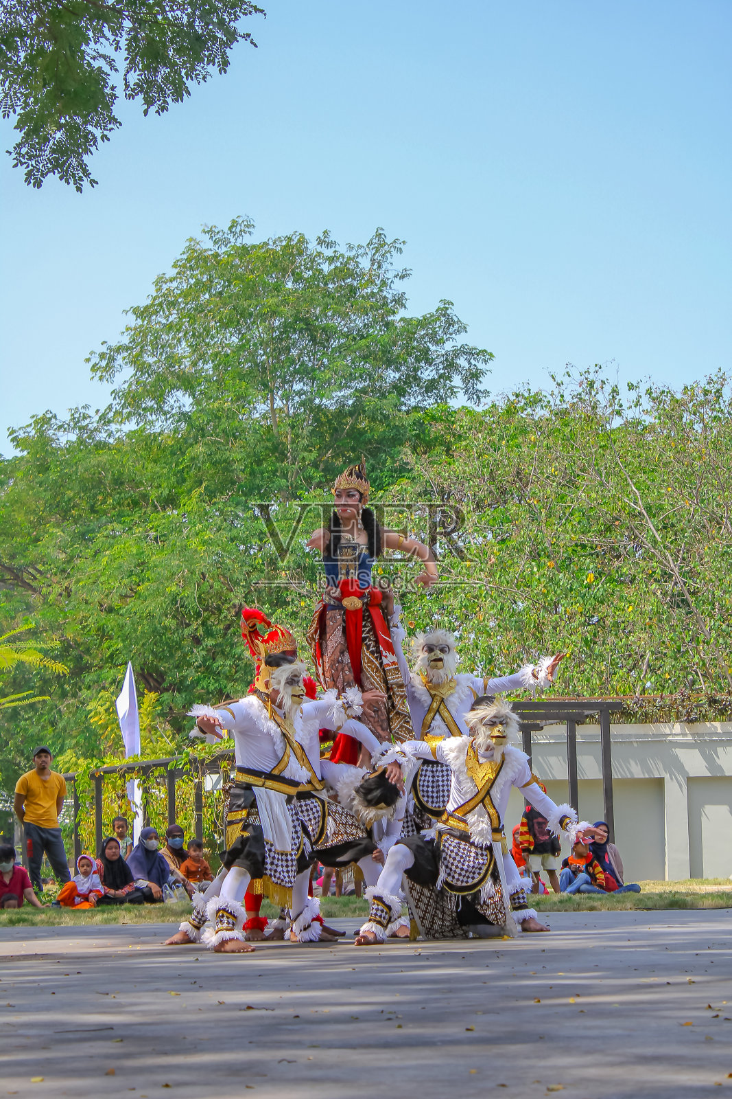 一群猴子养了一个美丽的女人，作为对她爱人的爱和感情的一种形式照片摄影图片