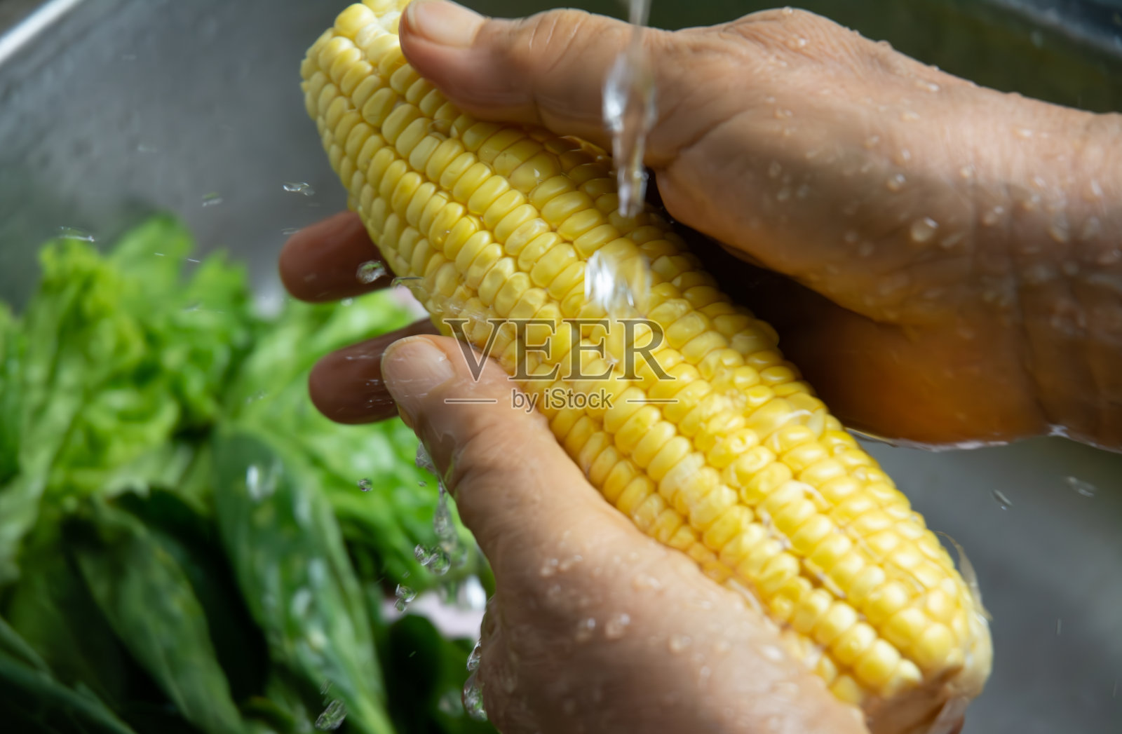 用淡水清洗甜玉米图像照片摄影图片