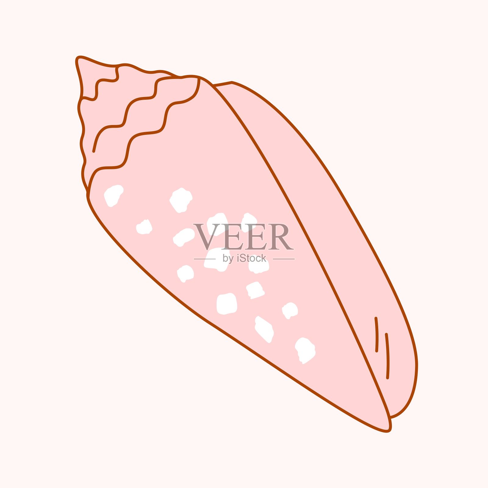 海螺是生活在太平洋和印度洋的锥壳科腹足类海螺。插画图片素材