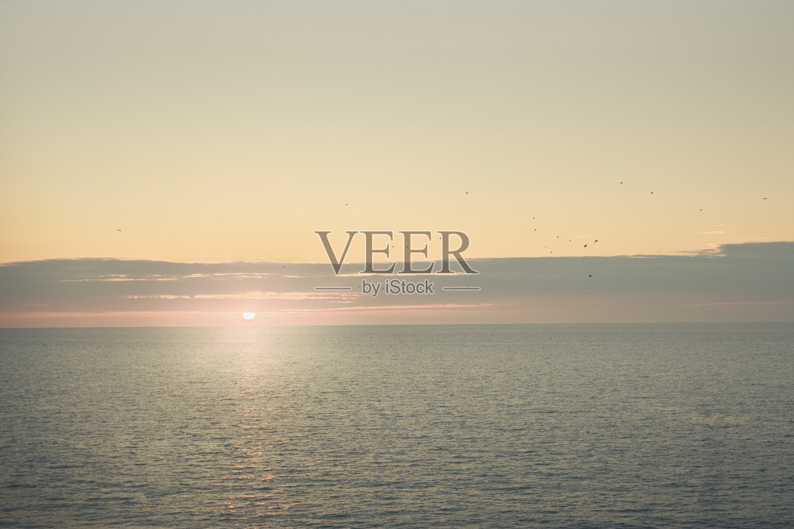 在马德拉岛小径上徒步旅行照片摄影图片