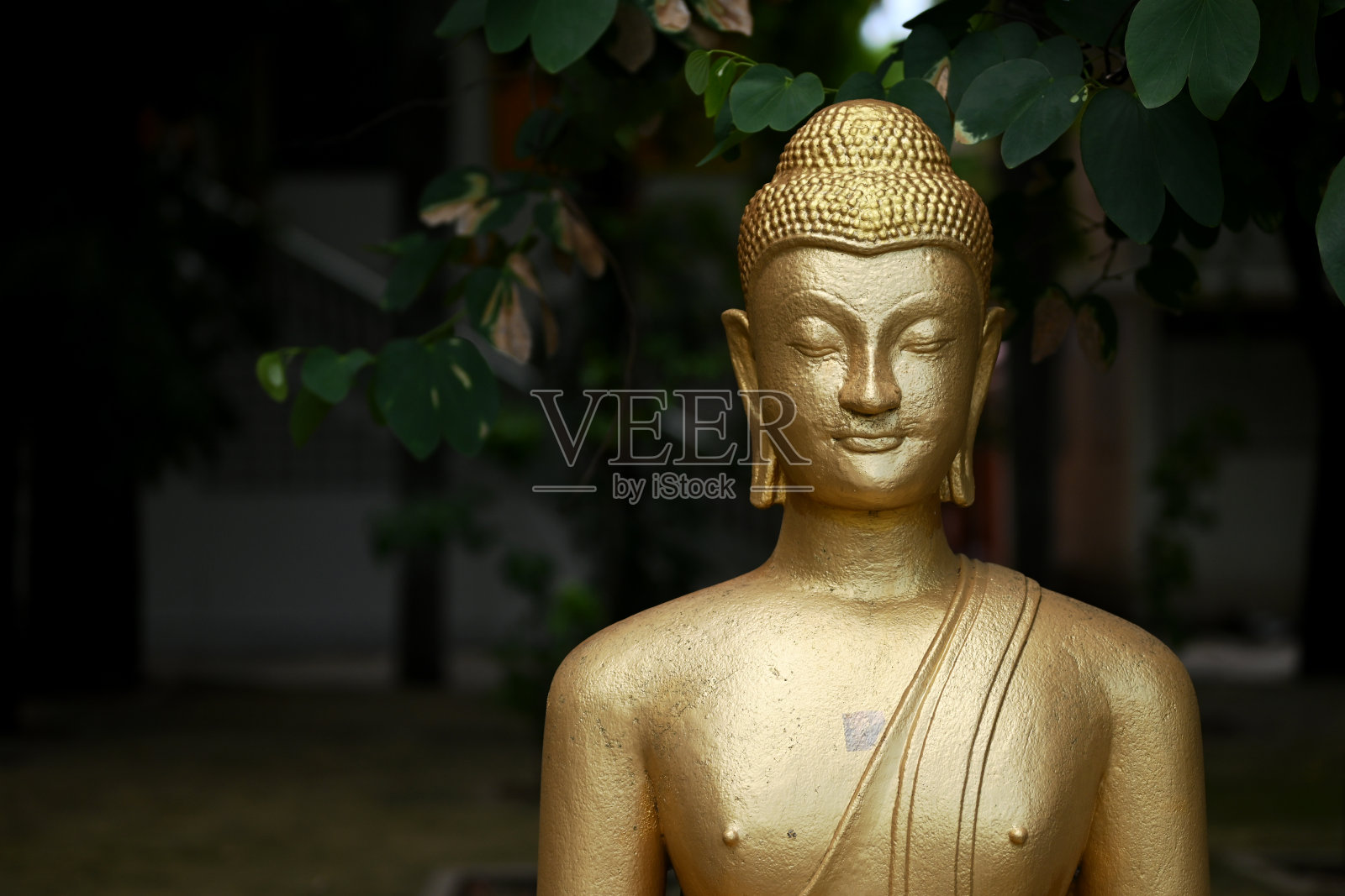 2024年7月2日，巴吞他尼省Lam Luk Ka区Khu Khot街道Wat Klang Khlong 3。照片摄影图片