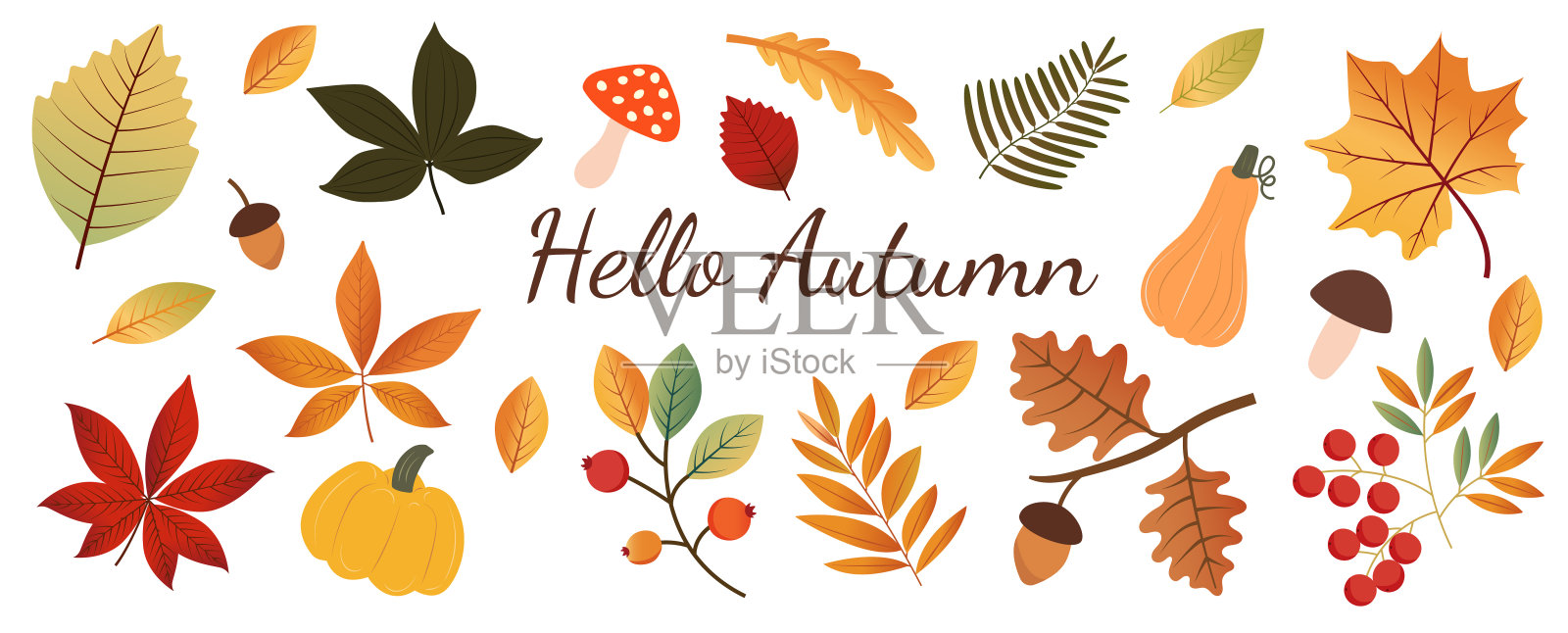 手绘秋天的元素孤立在白色的背景。秋天的落叶;蘑菇;橡子;南瓜。收获时间。秋天。插画图片素材