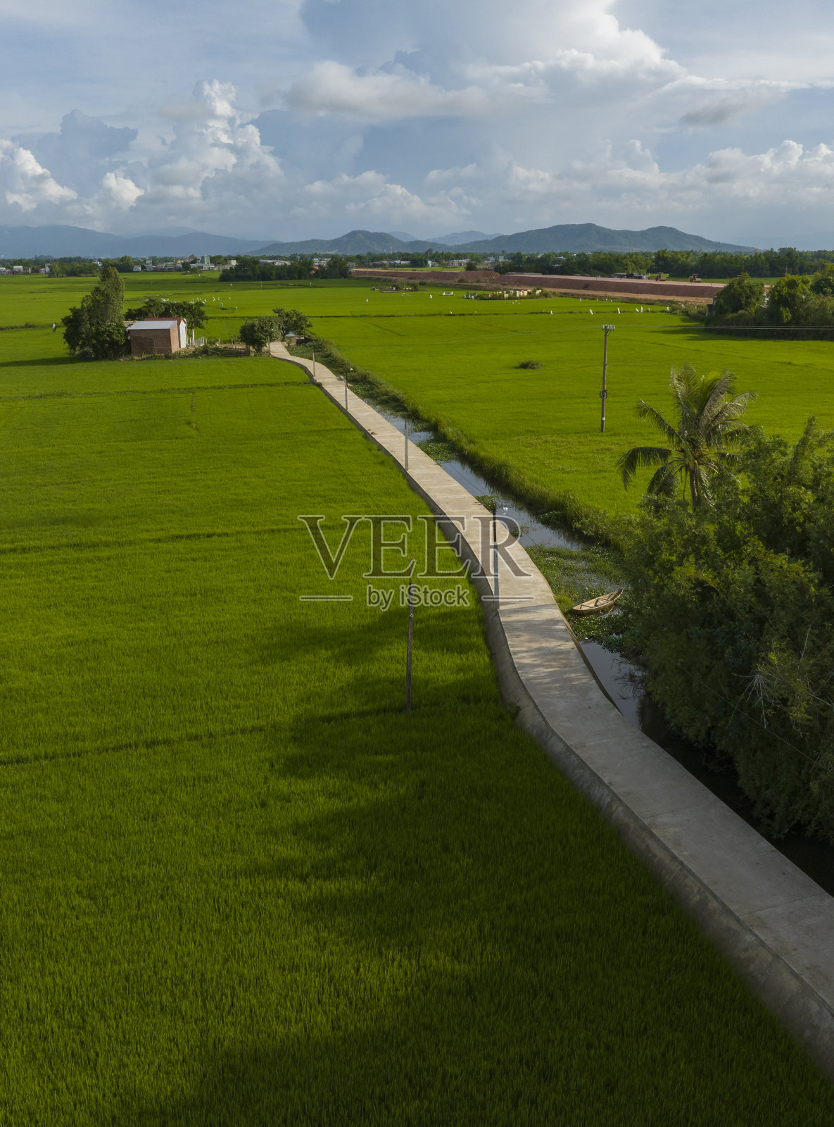 穿过绿色稻田的混凝土道路，平定省照片摄影图片