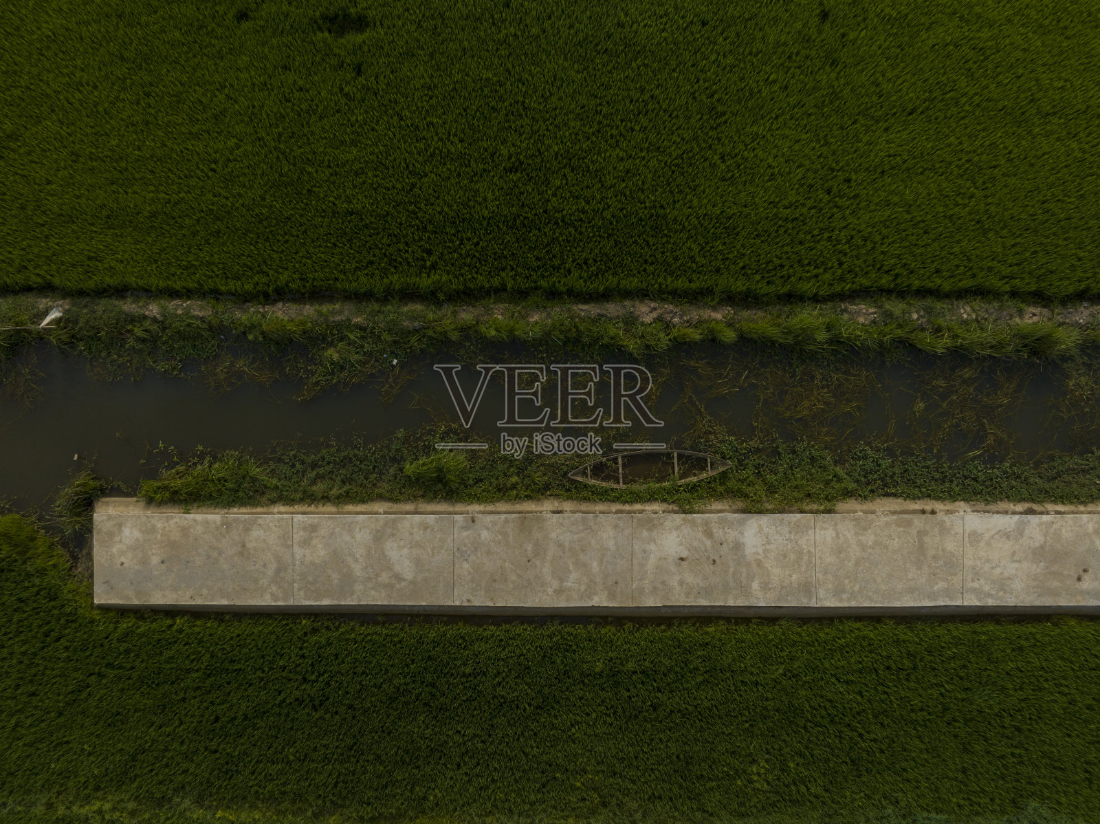 穿过绿色稻田的混凝土道路，平定省照片摄影图片