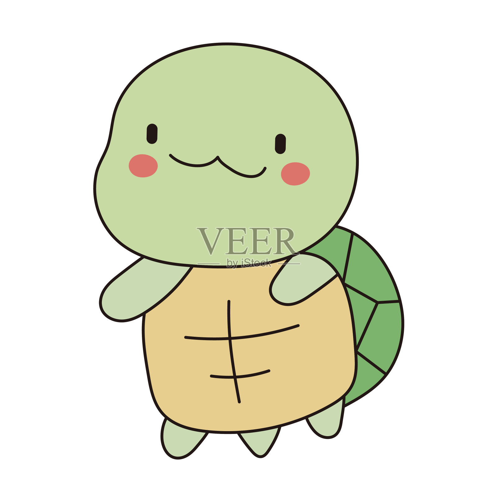 可爱又胖乎乎的绿色小海龟插画图片素材