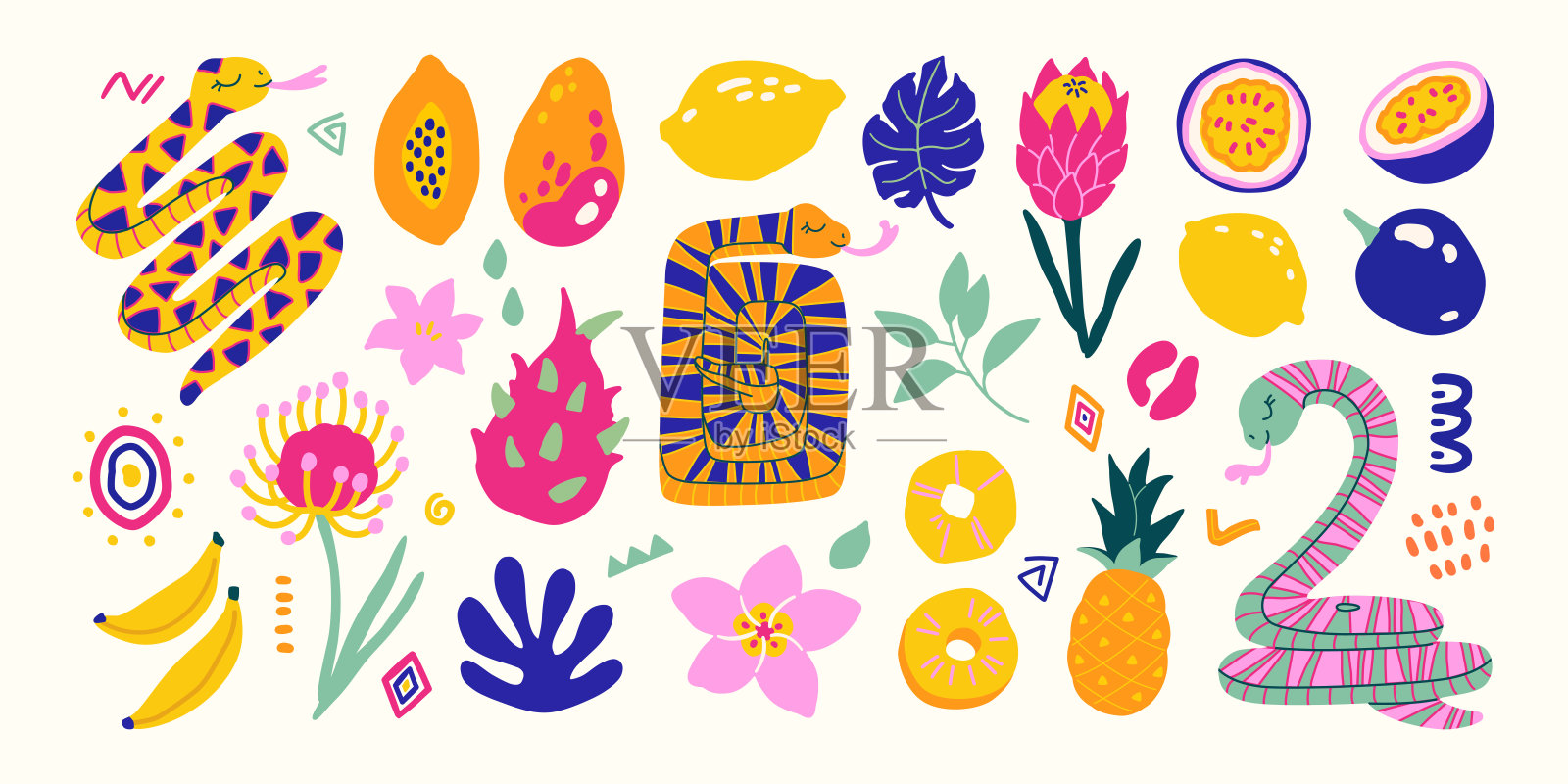 蛇花和水果手绘可爱简单的丛林插图集合插画图片素材