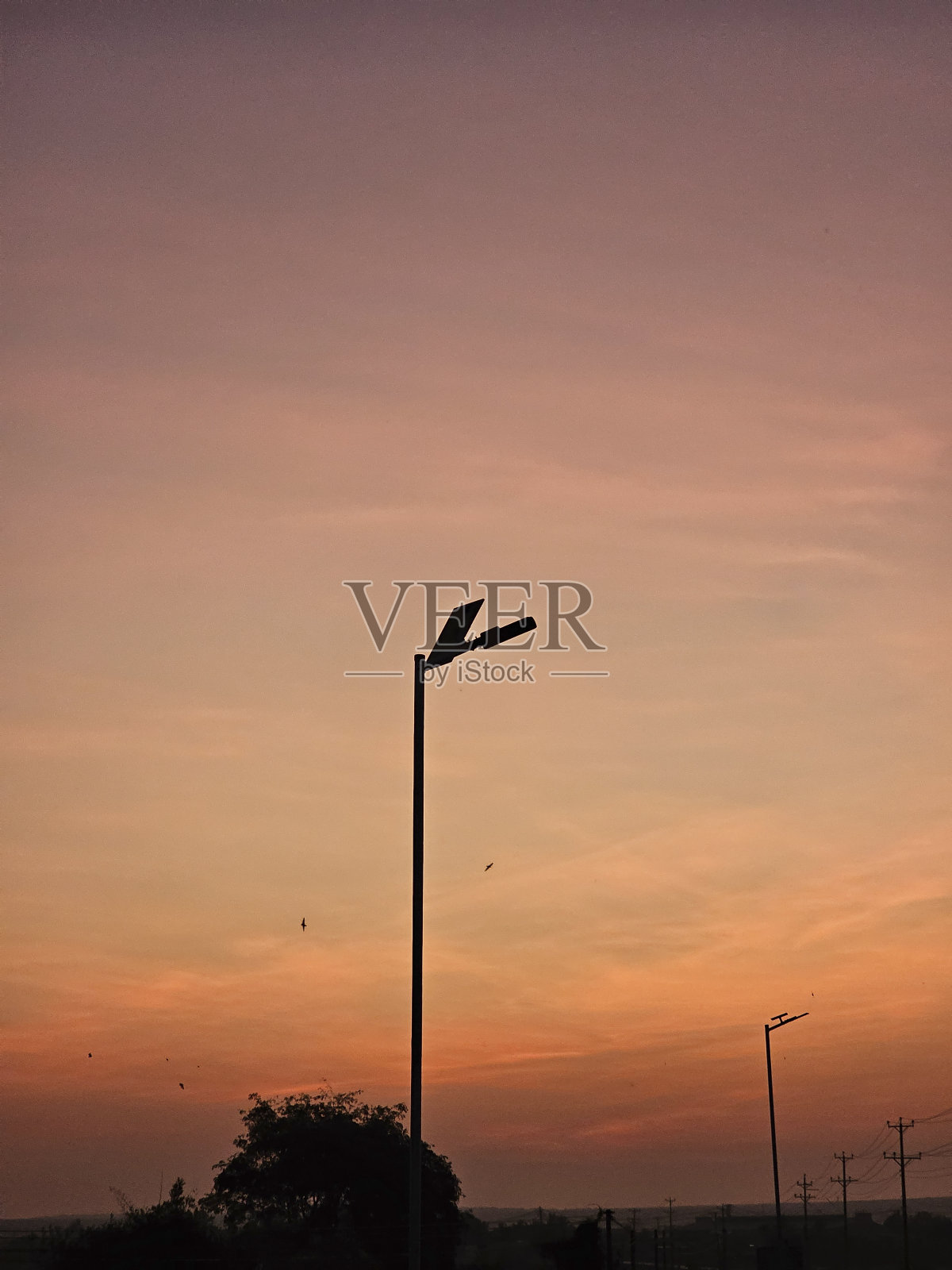 日落和灯柱照片摄影图片