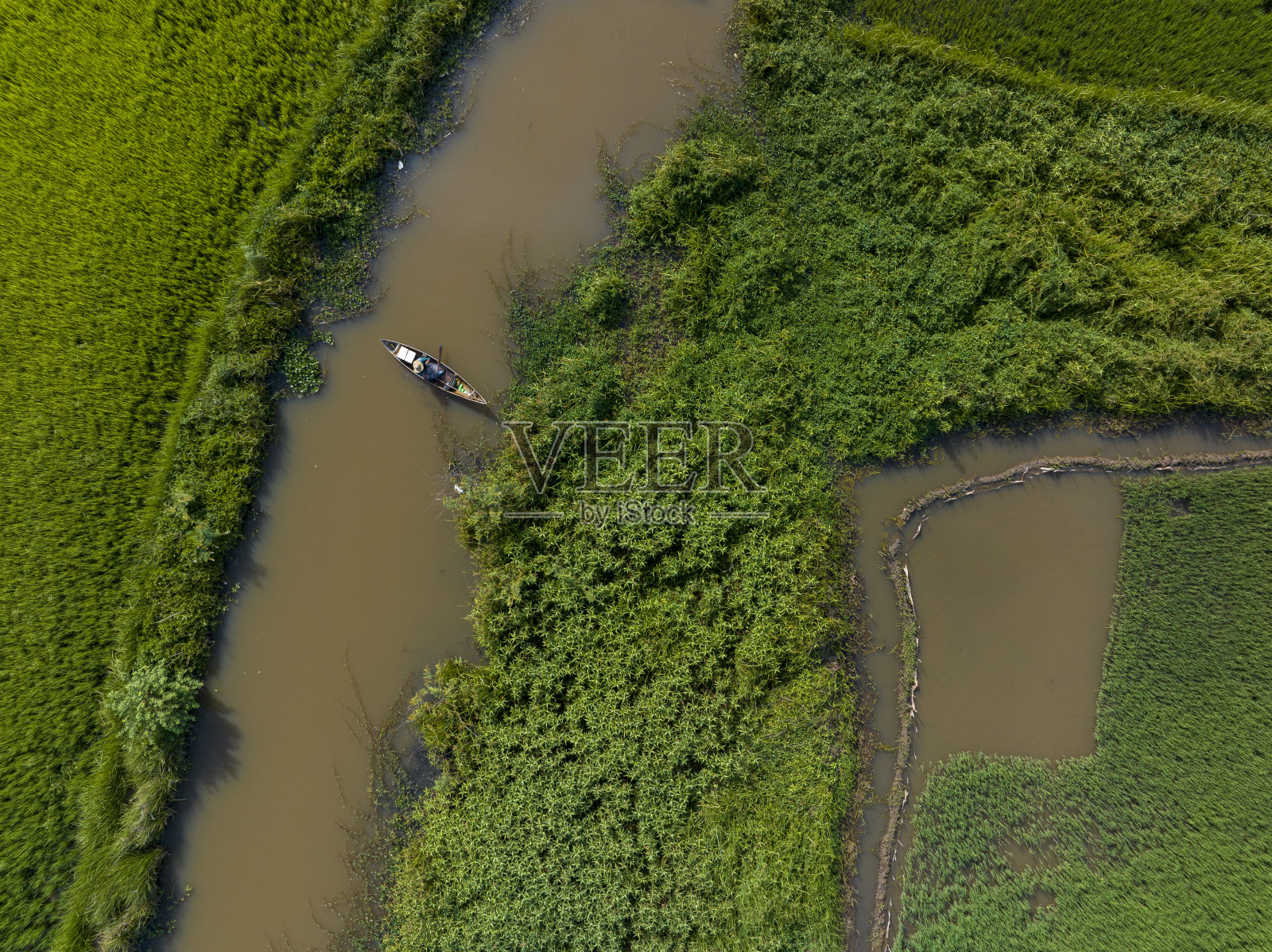 流经越南中部绿色稻田的小运河照片摄影图片