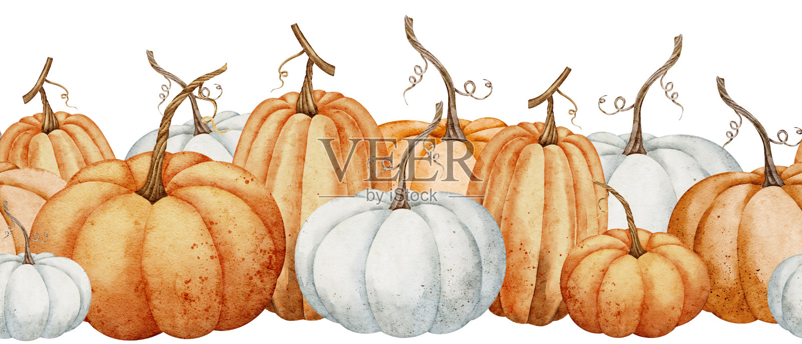 南瓜无缝边框。水彩插图无缝图案与秋天橙色和白色葫芦孤立的背景。秋季装饰收获节或万圣节贺卡插画图片素材