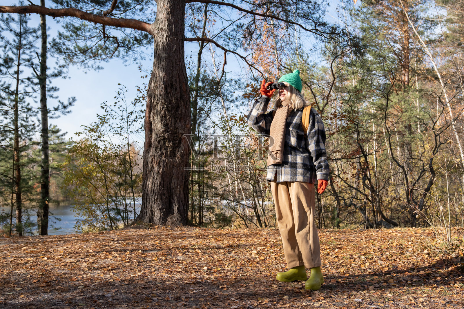 有兴趣的女观鸟游客站在森林里用双筒望远镜看鸟。照片摄影图片