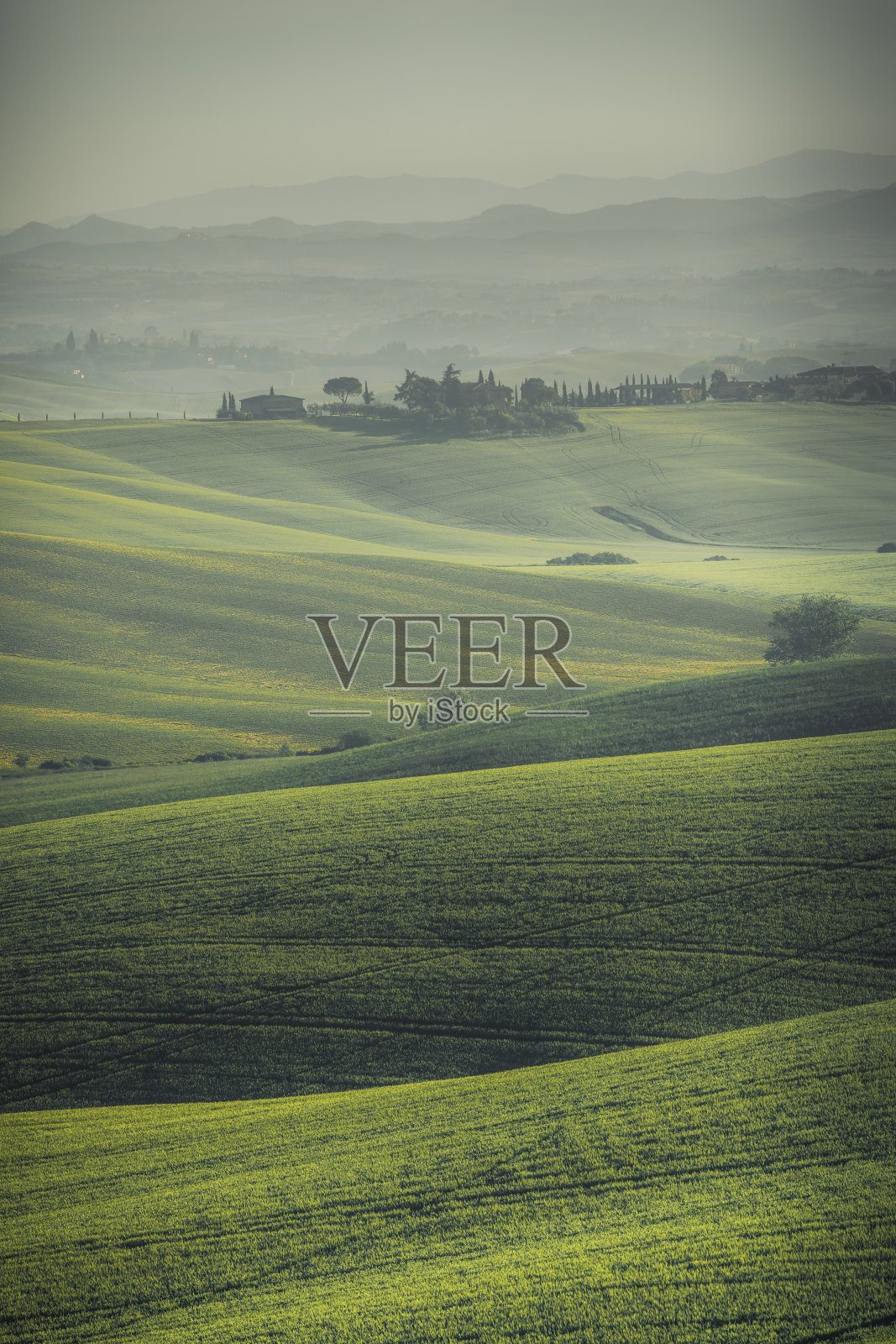 意大利托斯卡纳山谷里，雾气和阳光透过雾蒙蒙的树木照片摄影图片