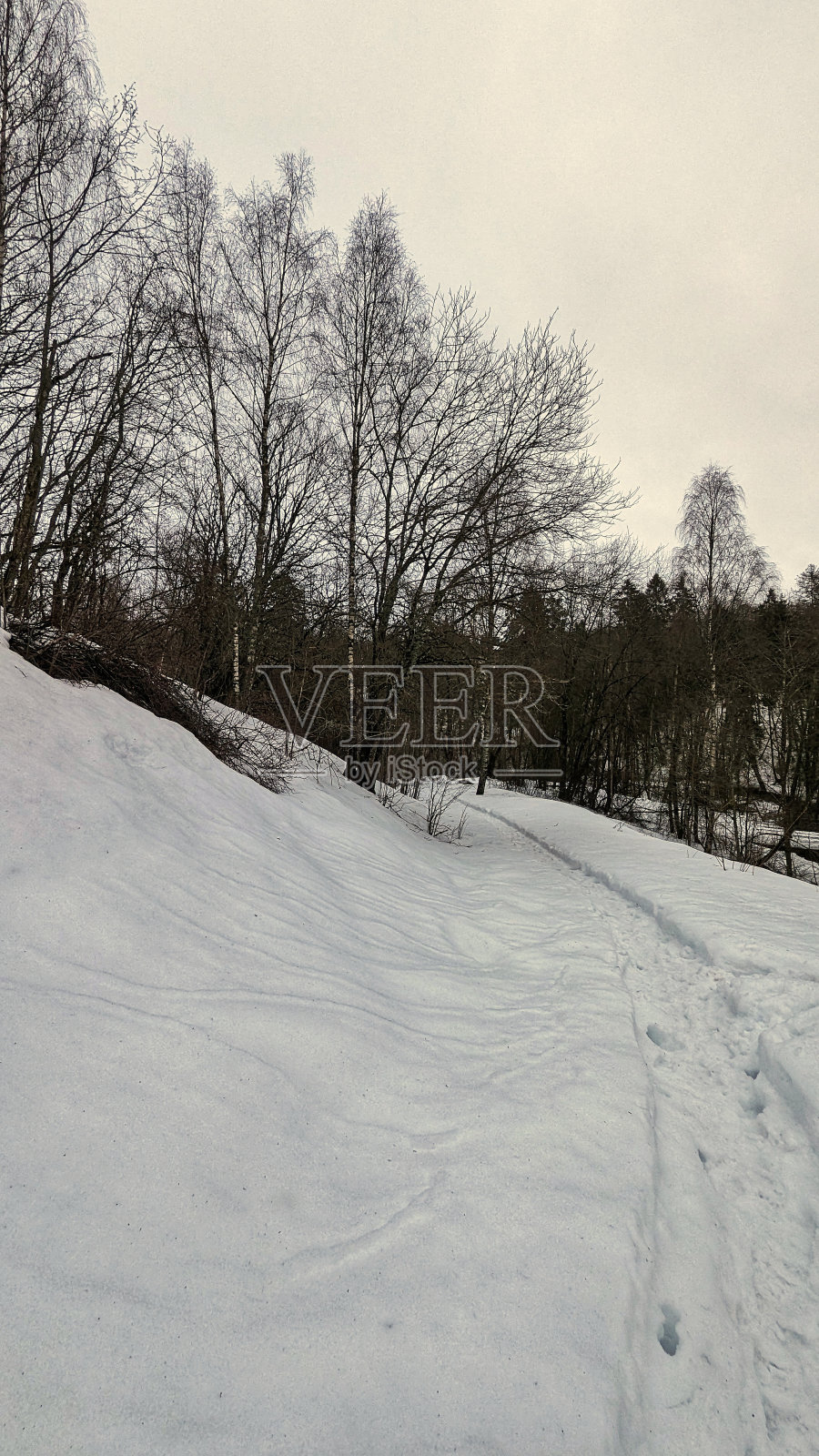 奥斯陆冬天被雪覆盖的景观照片摄影图片