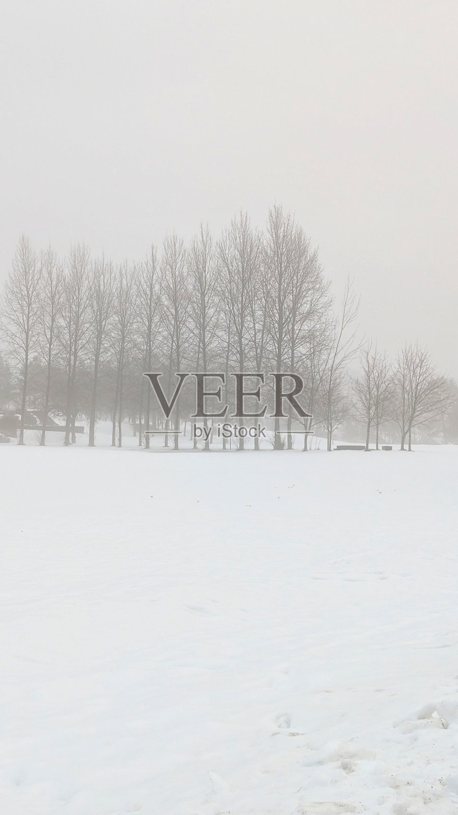 奥斯陆冬天的雪和雾照片摄影图片