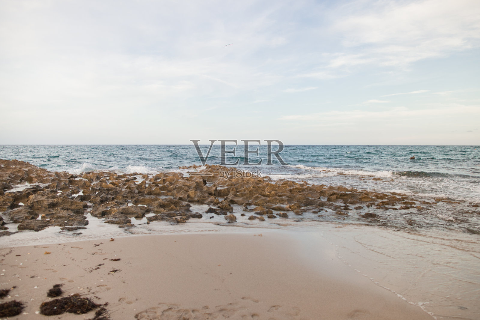 2024年夏天，日落时分，佛罗里达州辛格岛的岩石海滩照片摄影图片