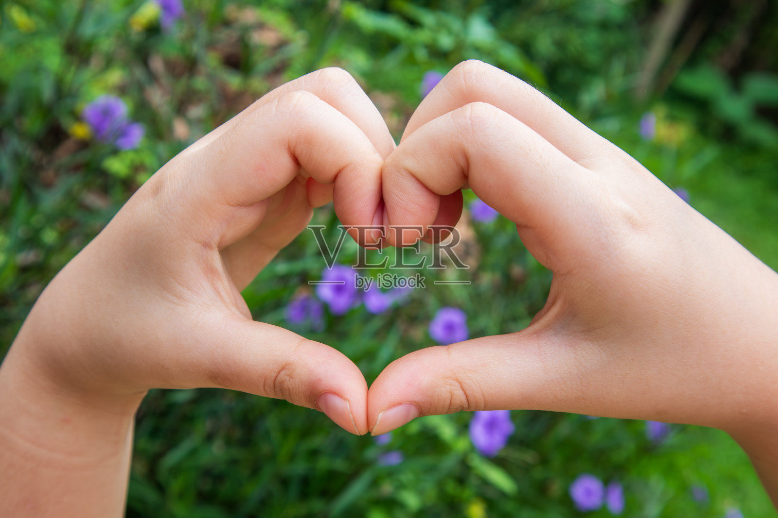 一个孩子的手做一个心形表示爱和温柔的温暖。照片摄影图片